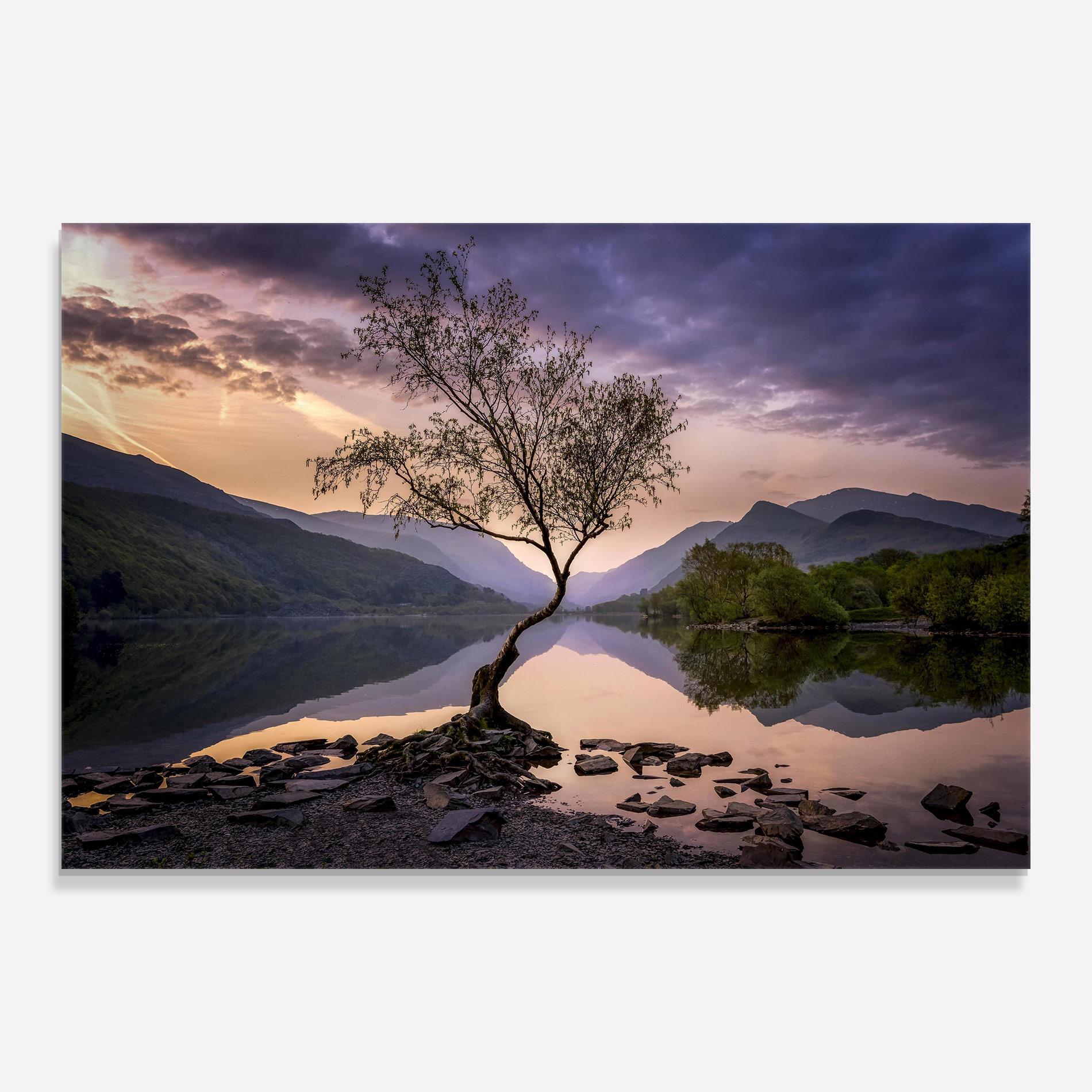 Üvegkép Lone Tree mockup 0