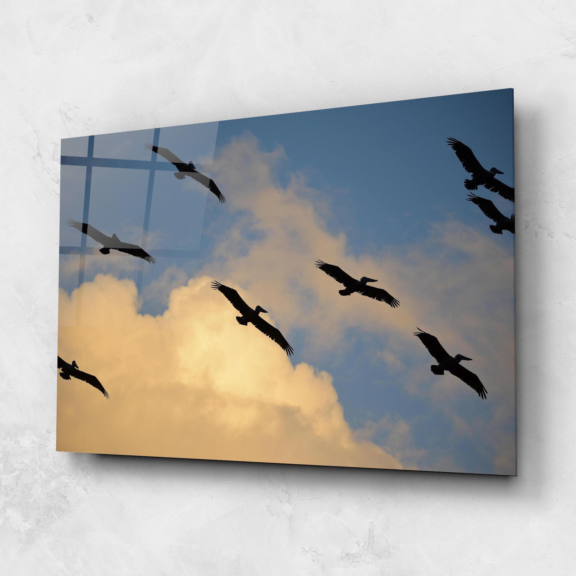 Bird Shilouette Cloud mockup 1