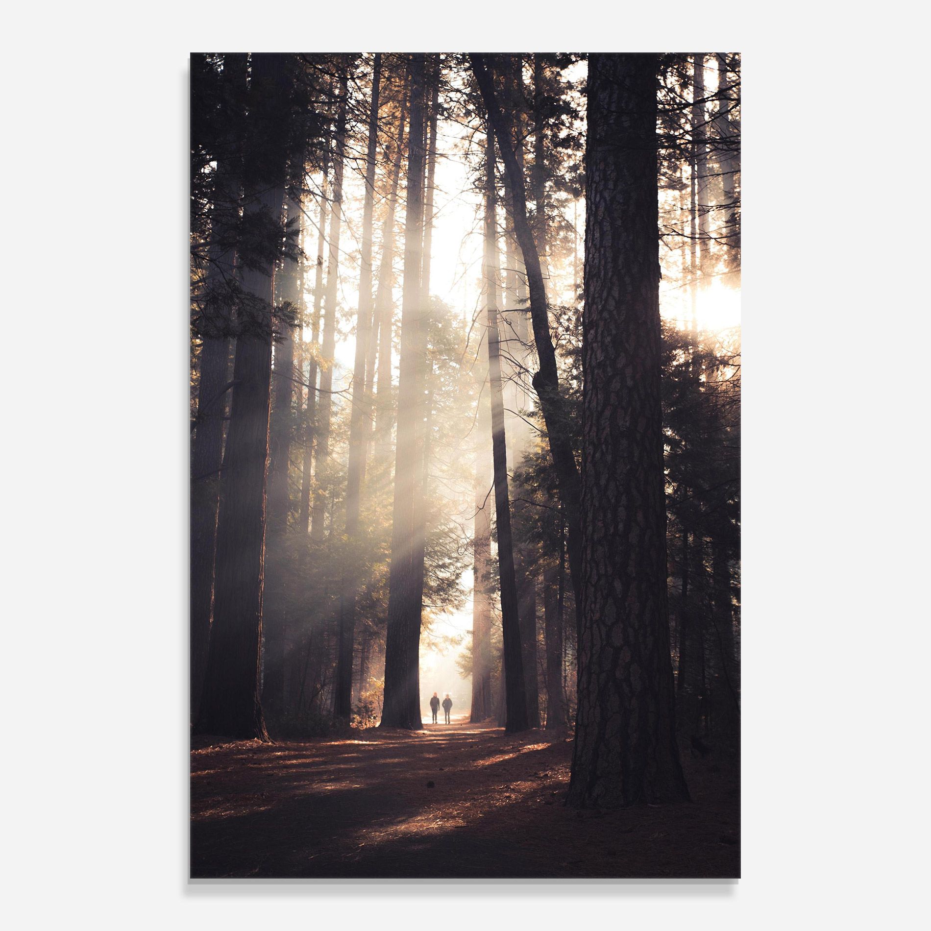 Foggy Couple Forest mockup 0