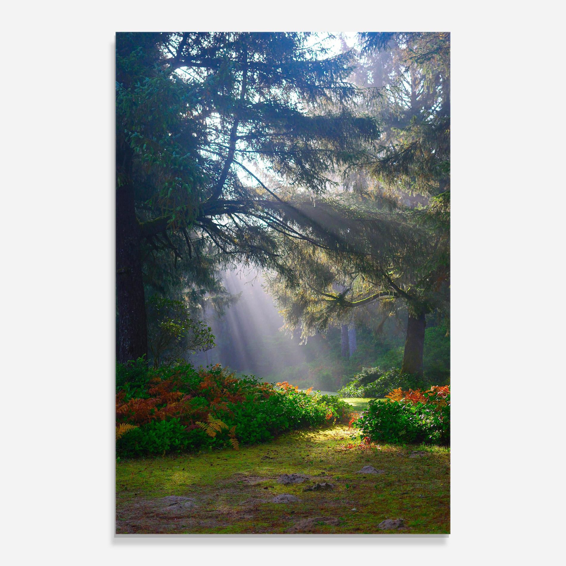 Üvegkép Forest Light mockup 0