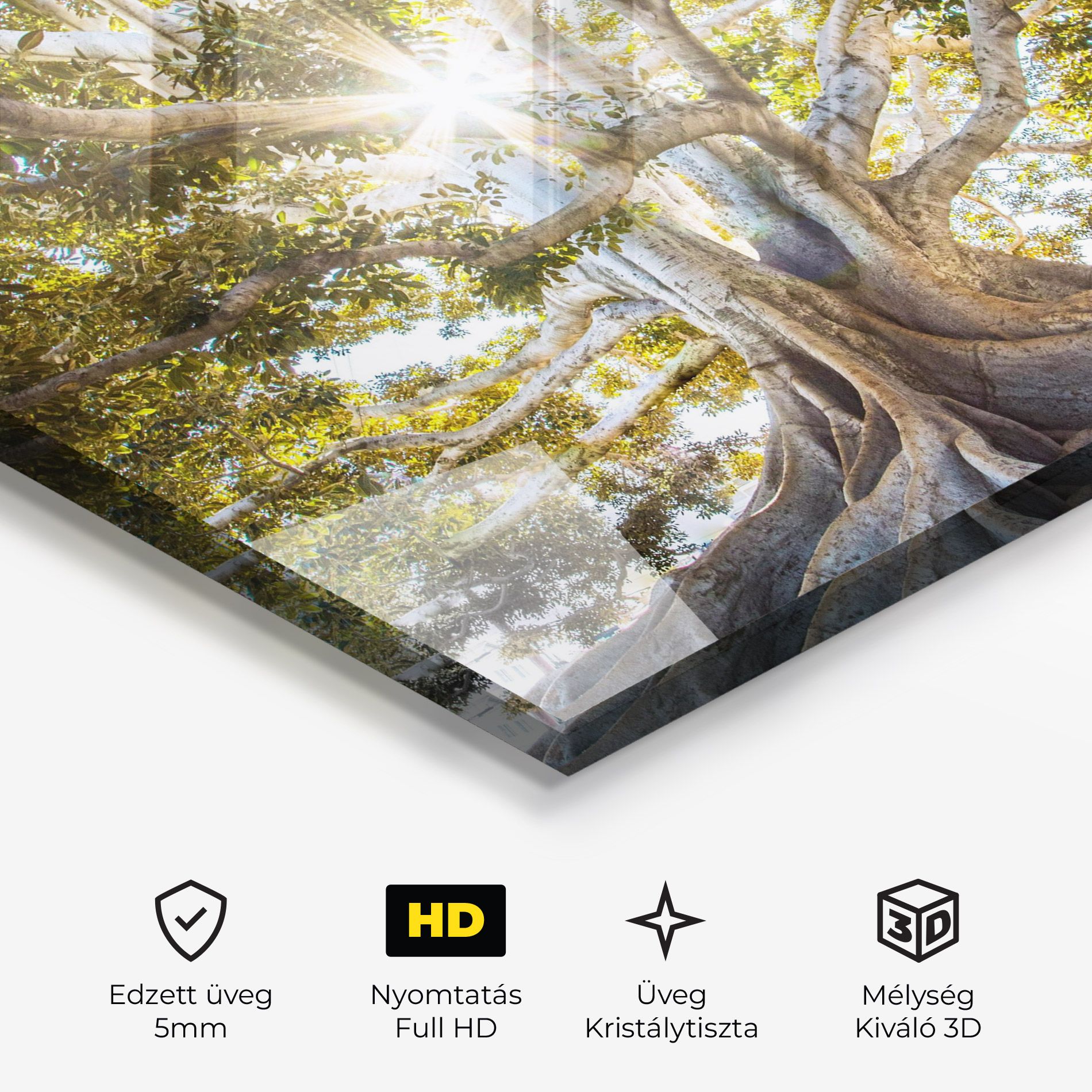 Big Old Tree mockup 3