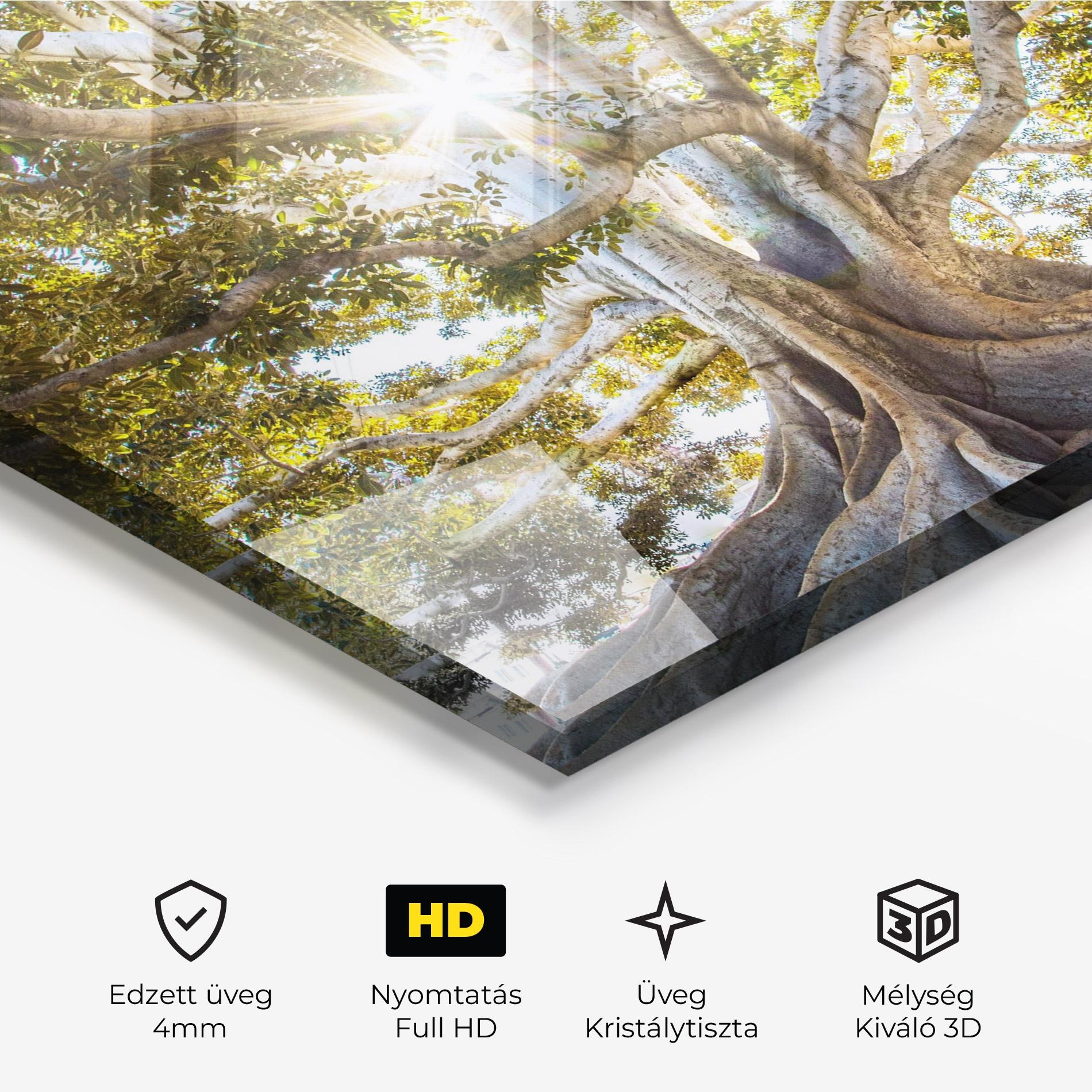 Üvegkép Big Old Tree mockup 3