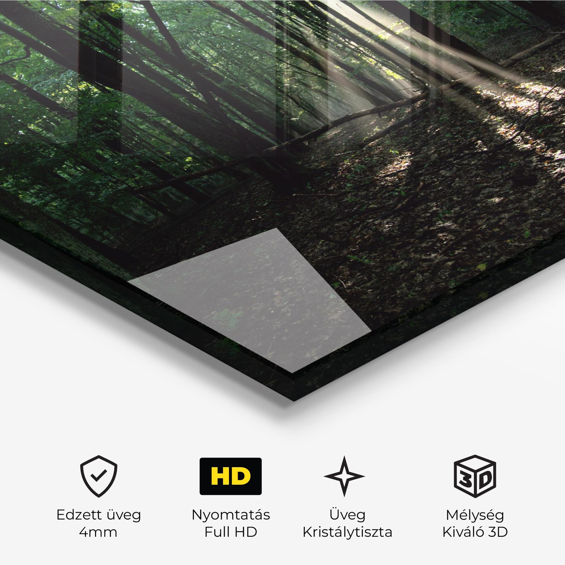 Üvegkép Forest Sun Light mockup 3