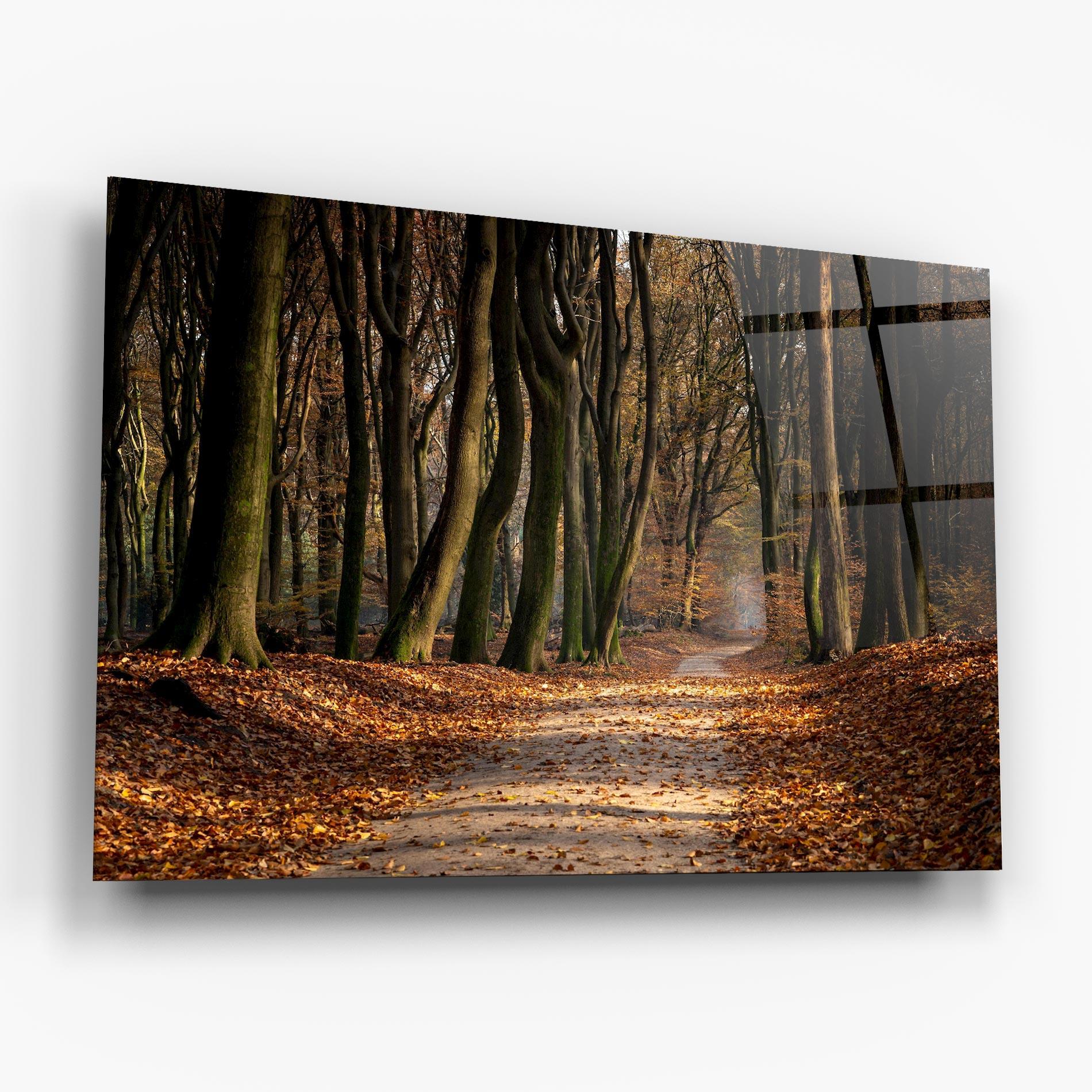 Üvegkép Autumn Path Forest mockup 6