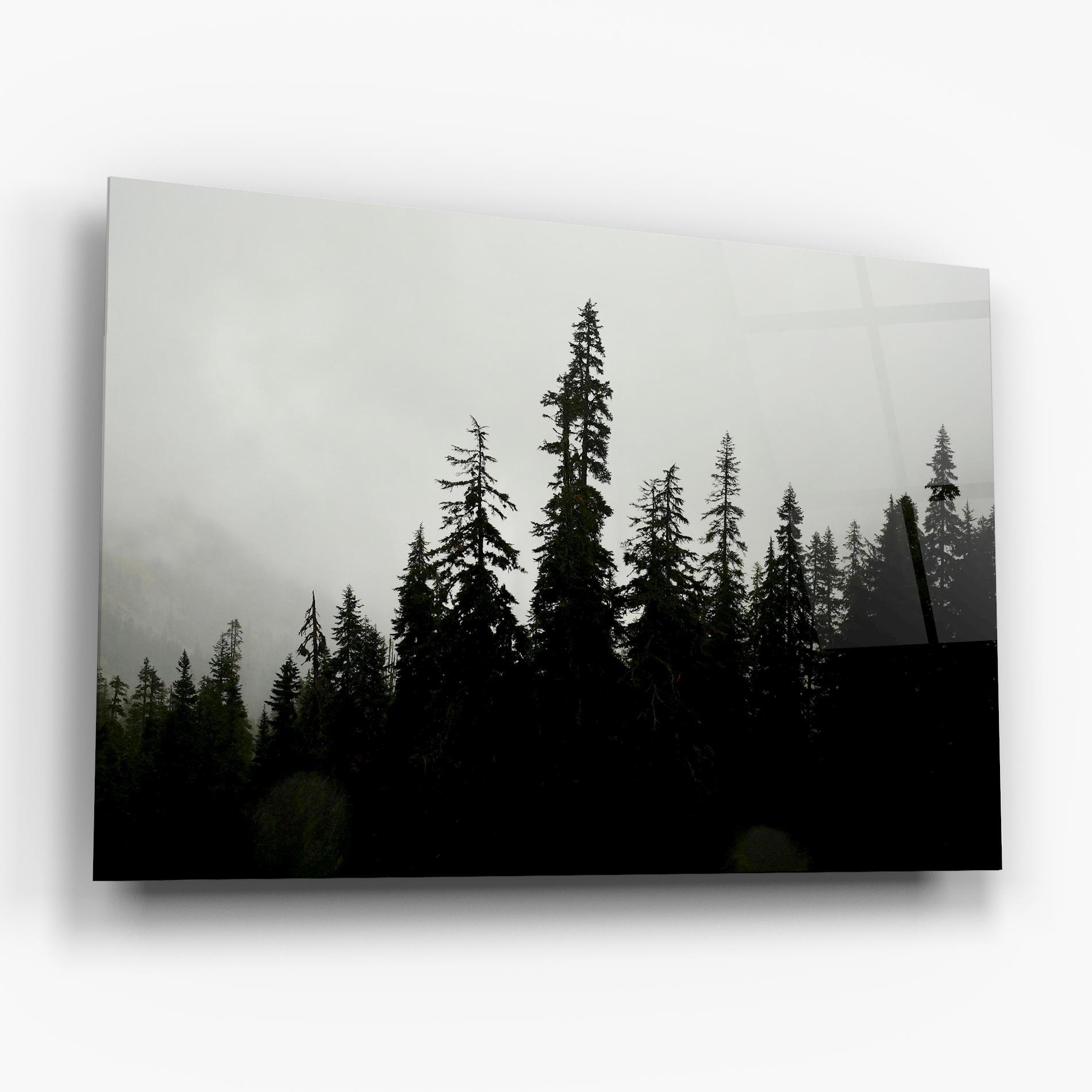 Üvegkép Black Tree Forest mockup 6