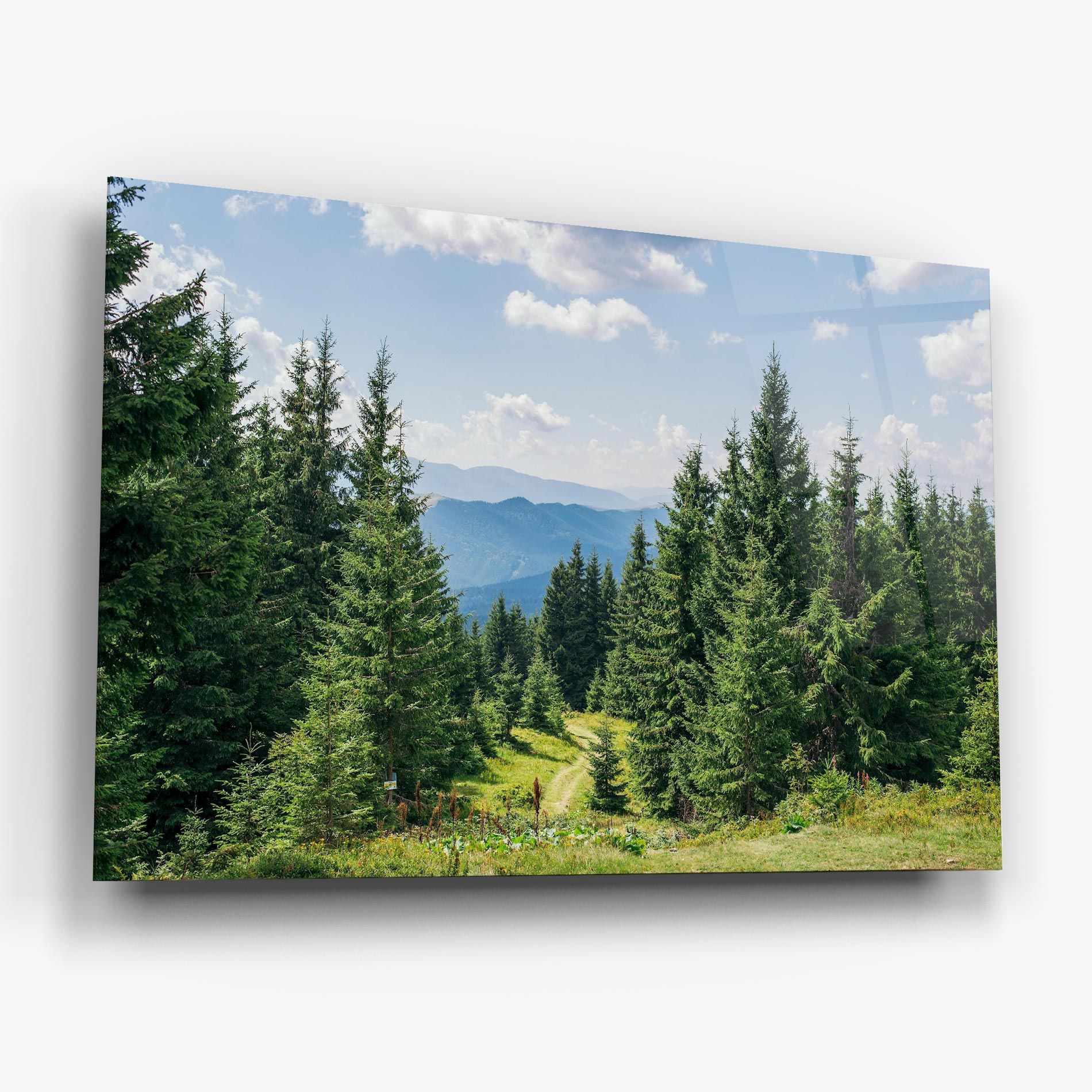 Carpathian Mountain mockup 6