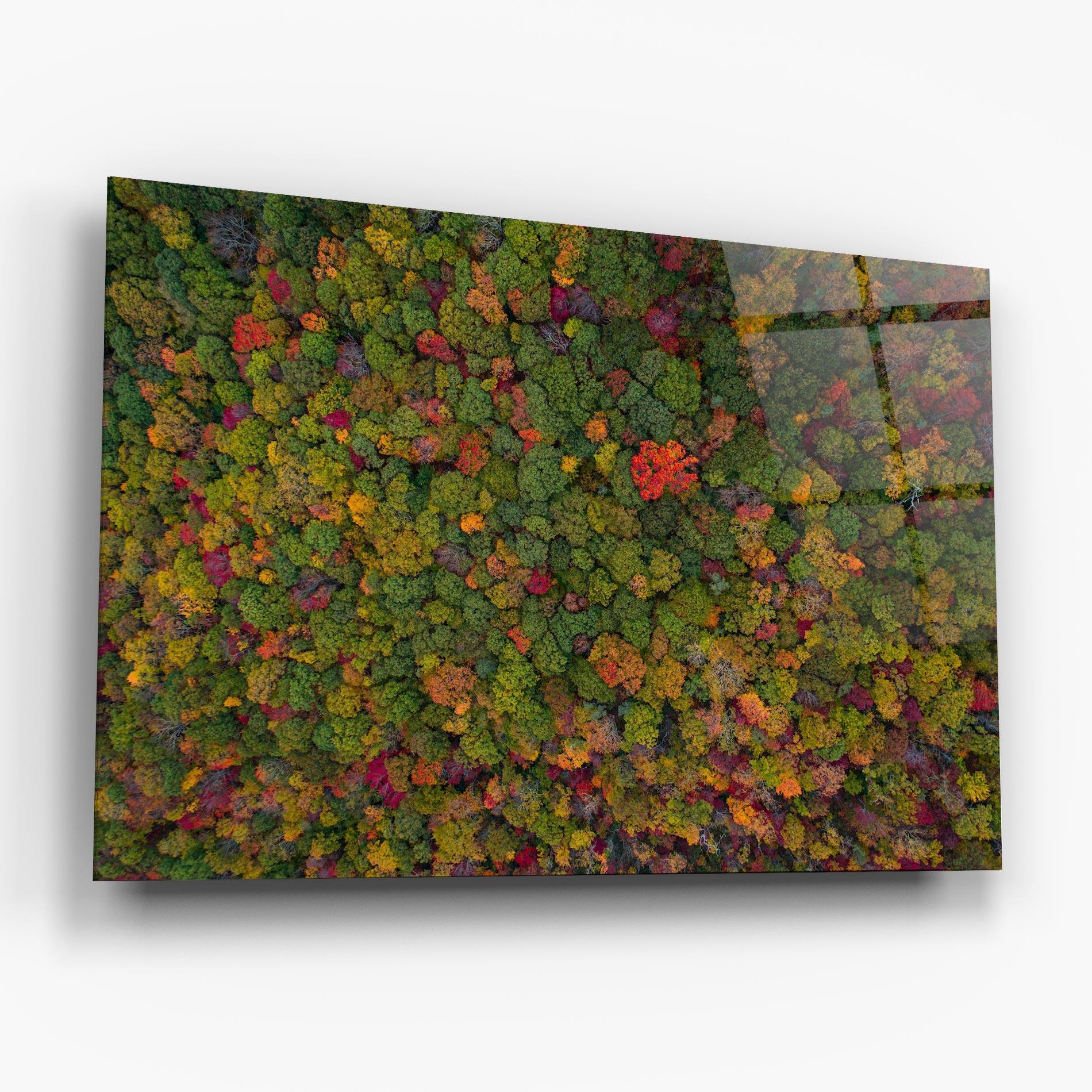 Üvegkép Color Mix Forest mockup 6