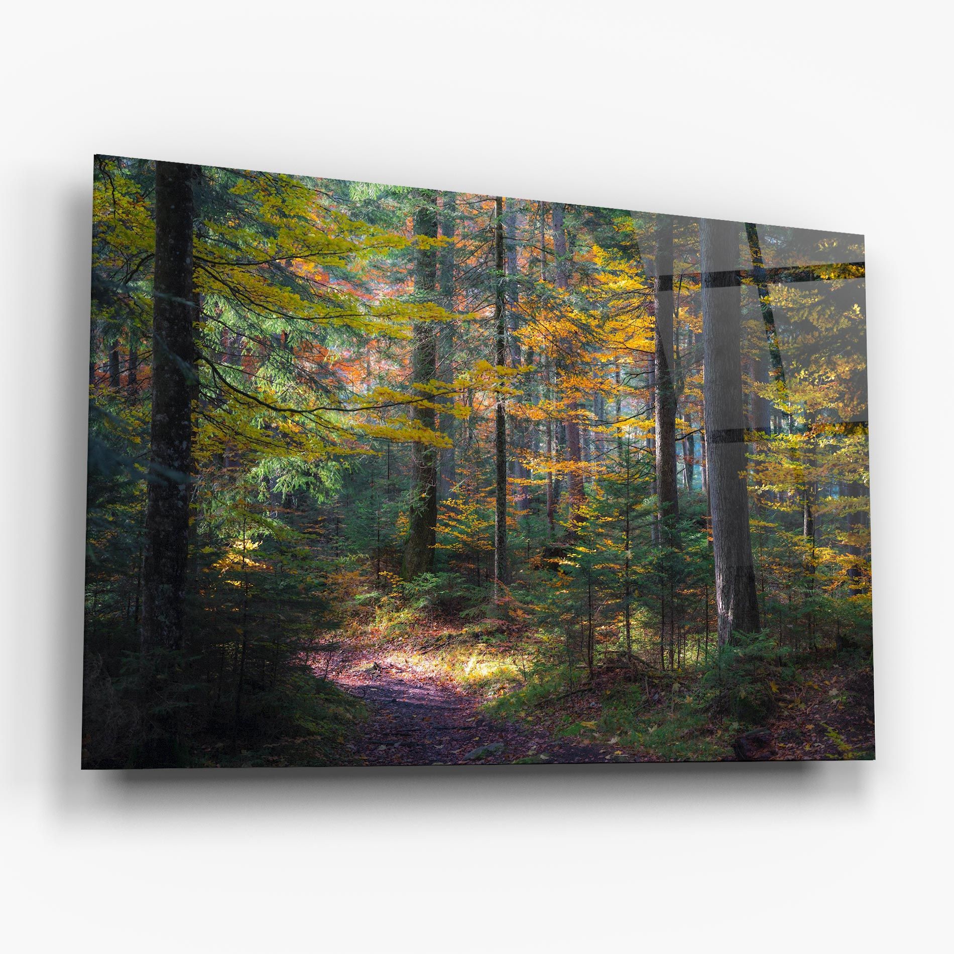 Dreamy Path Dorest mockup 6