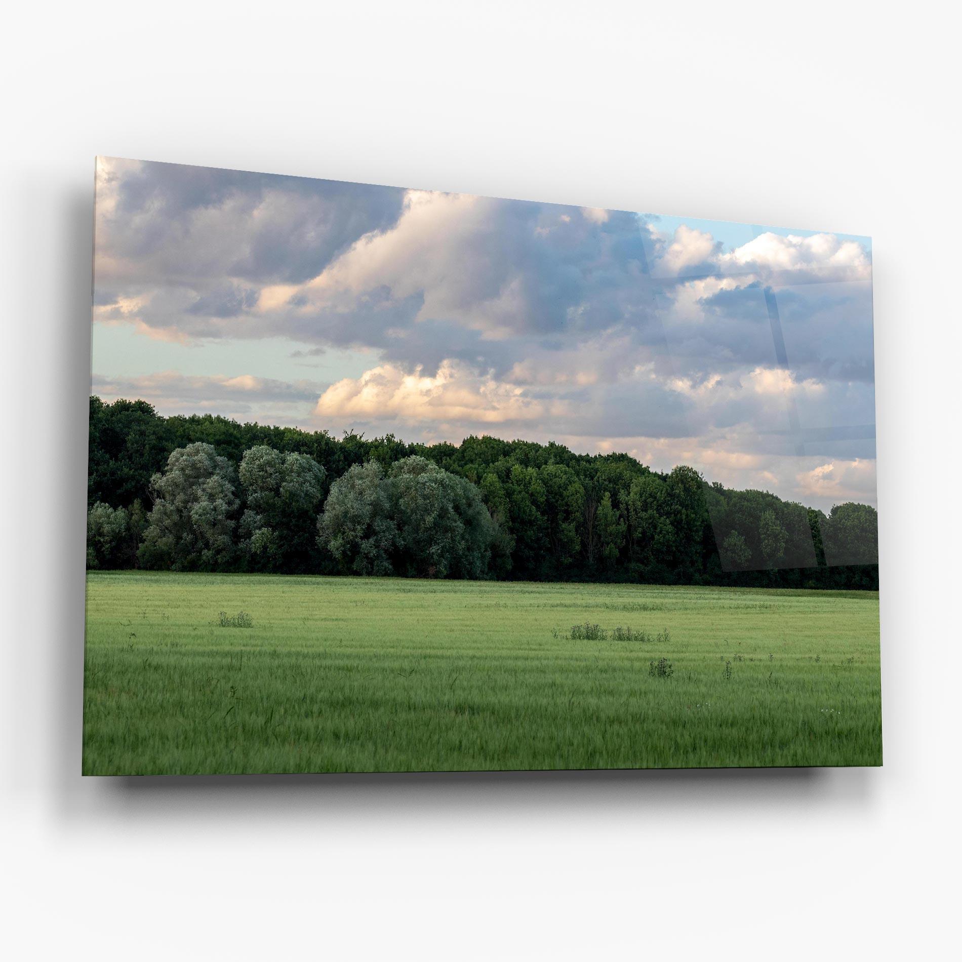 Üvegkép Forest Field mockup 6