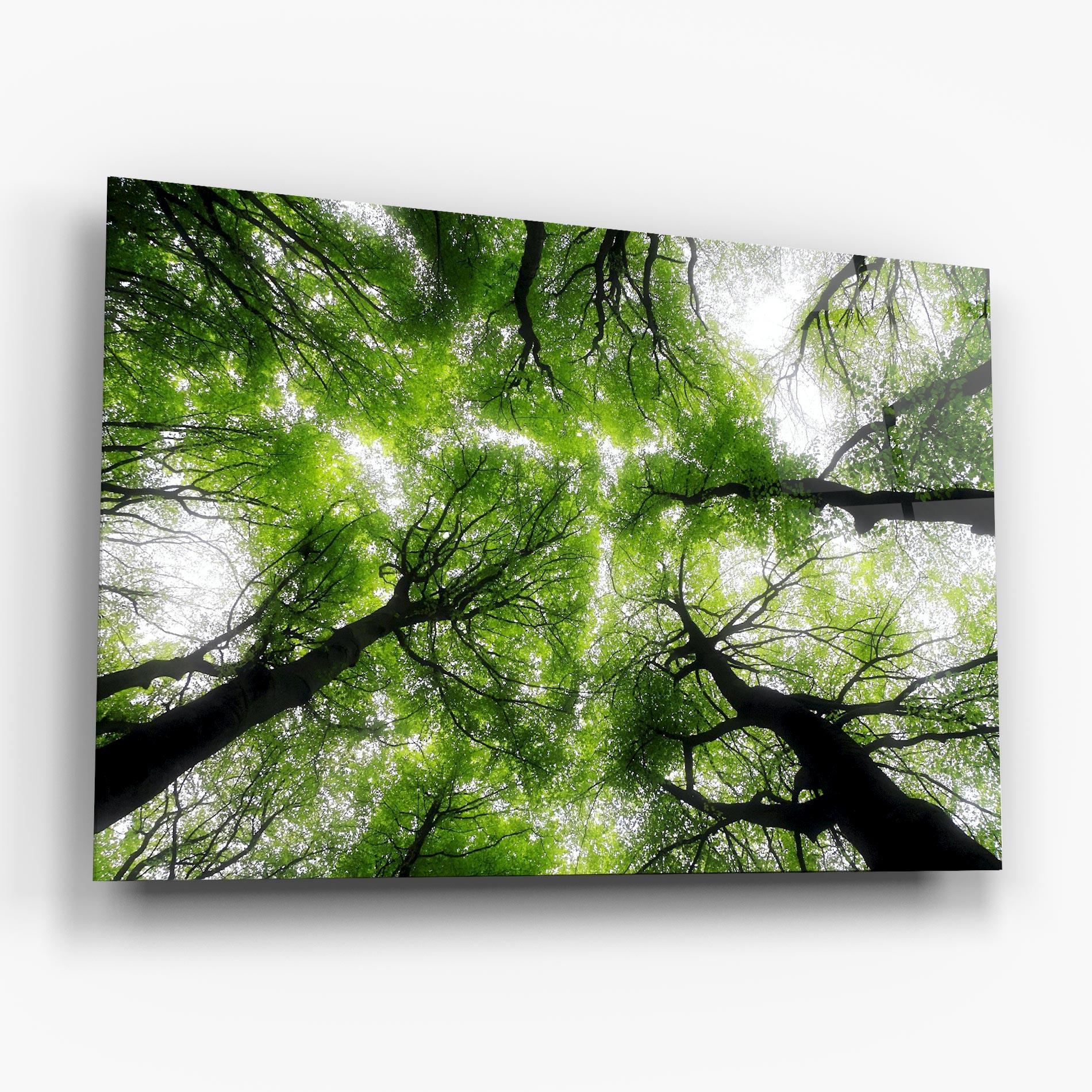 Üvegkép Forest Green Tree mockup 6