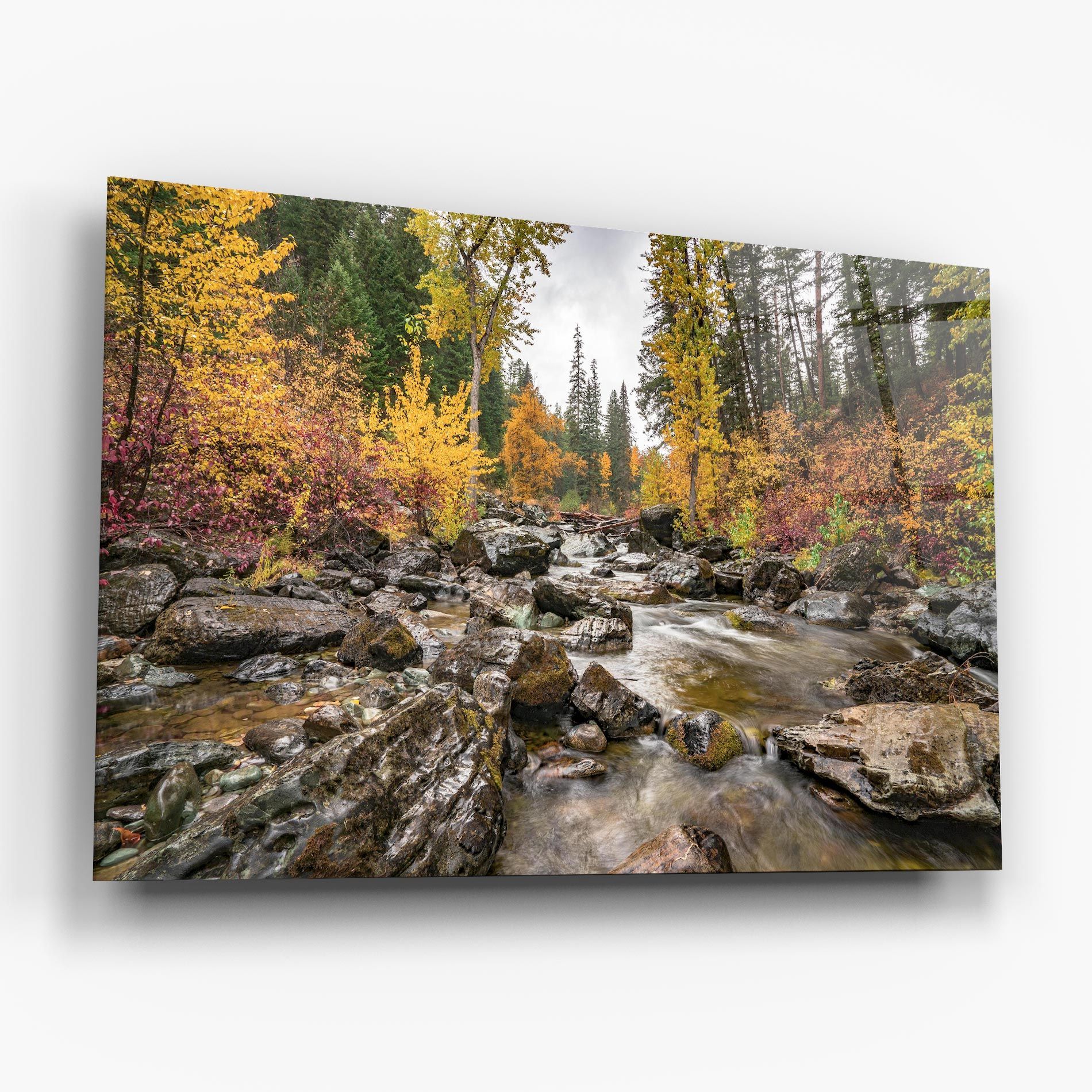 Forest Lake Rocks mockup 6