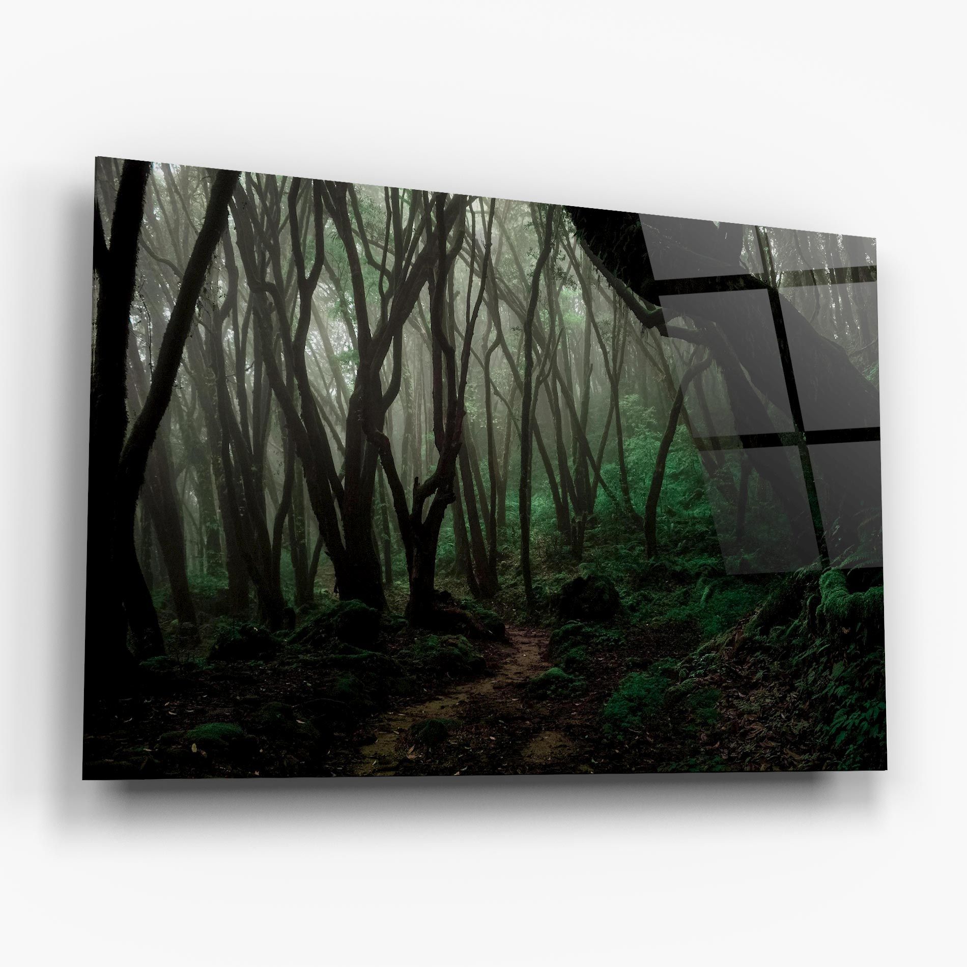 Forest Story mockup 6