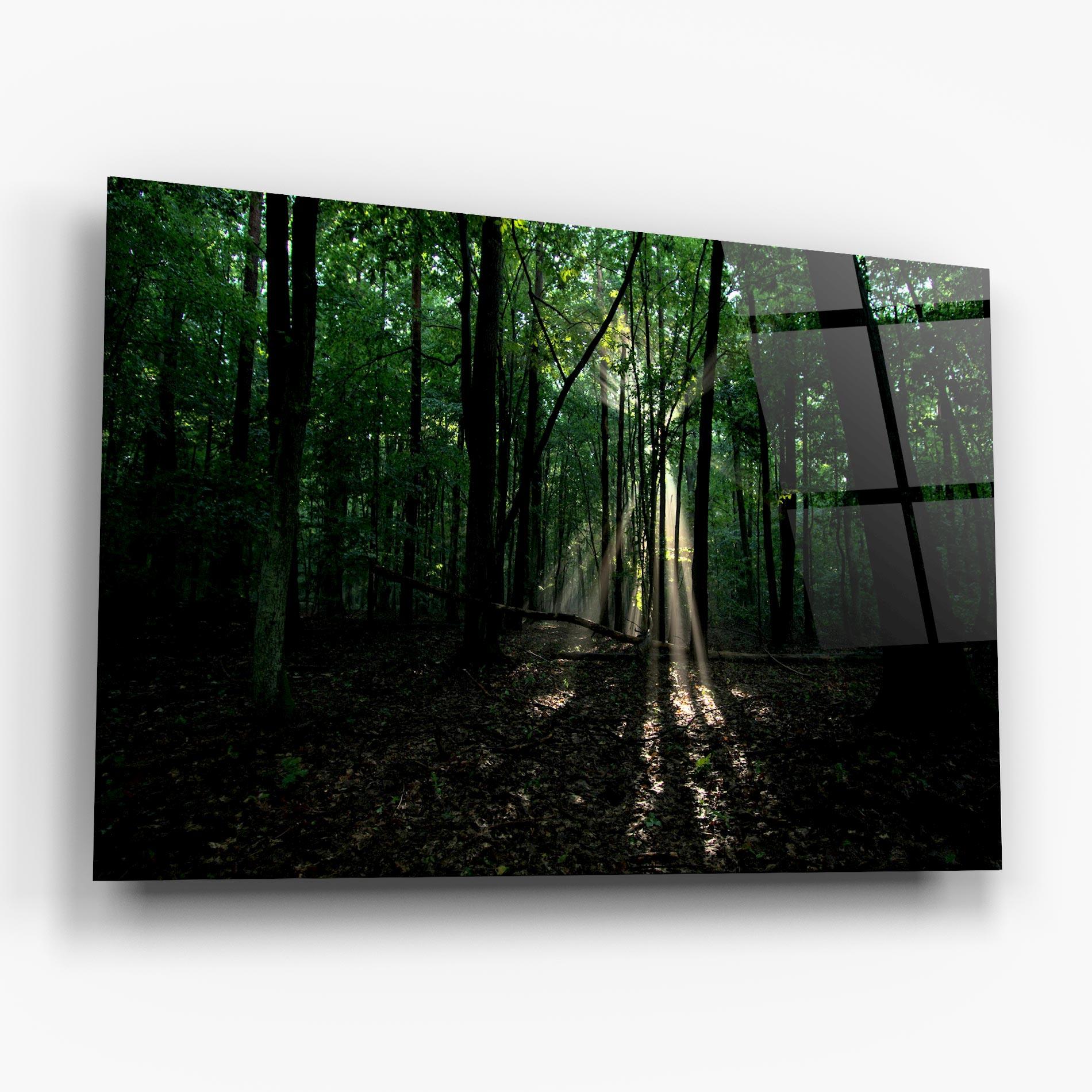 Üvegkép Forest Sun Light mockup 6