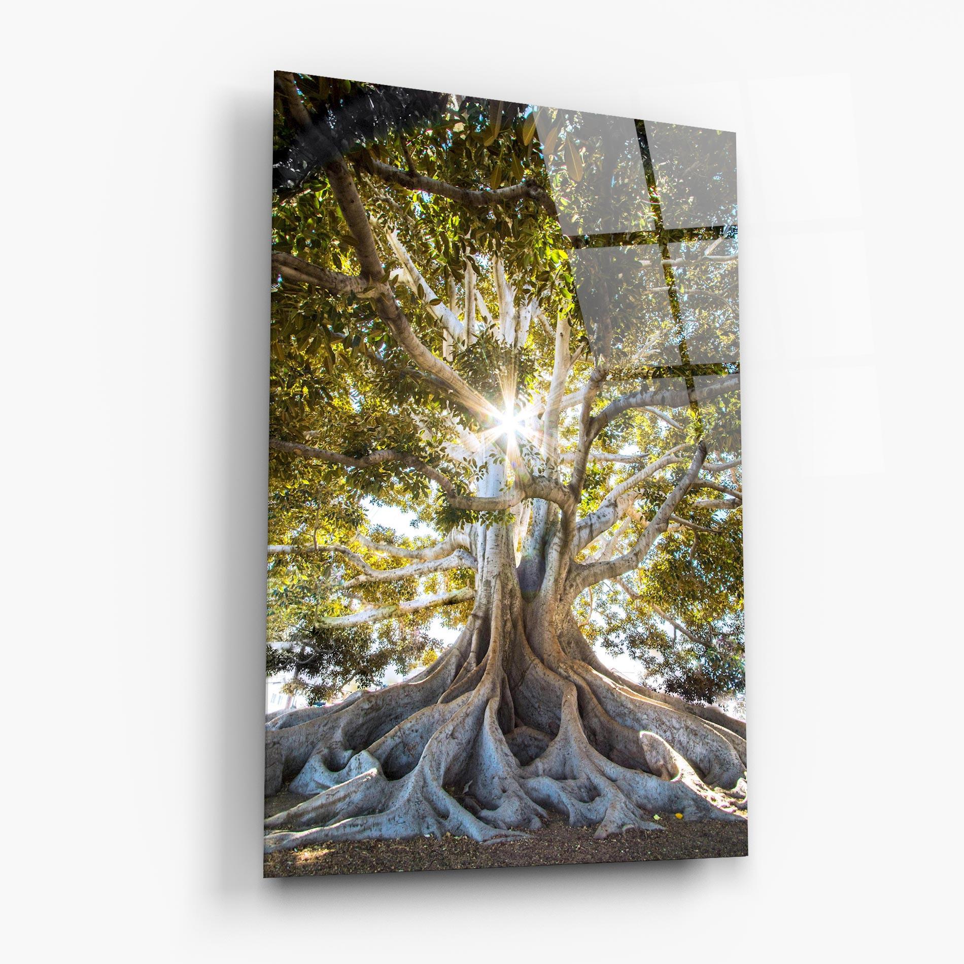 Üvegkép Big Old Tree mockup 6