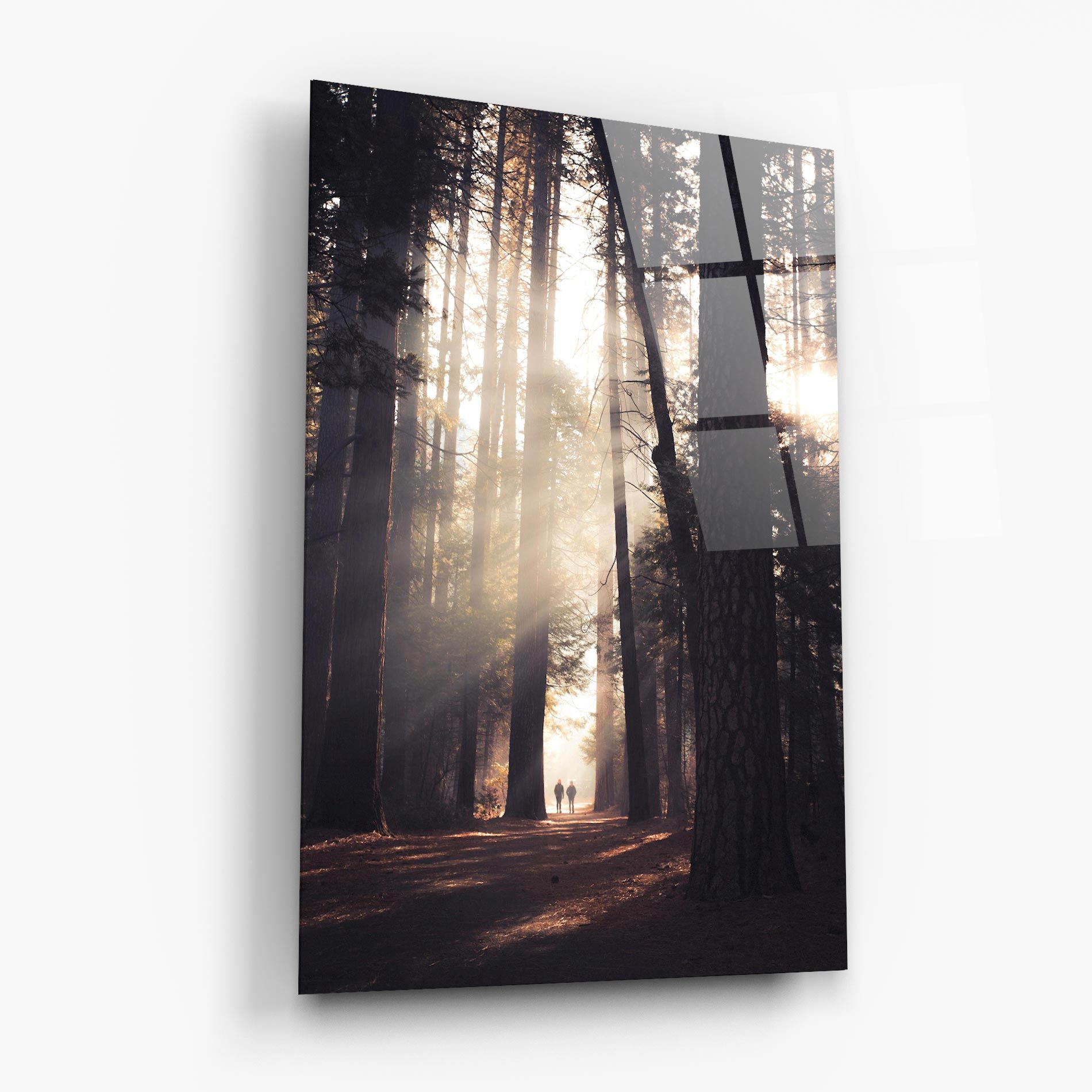 Foggy Couple Forest mockup 6
