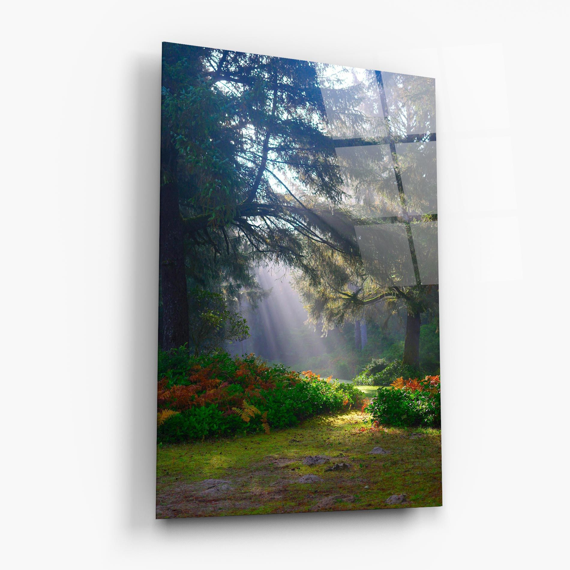 Forest Light mockup 6