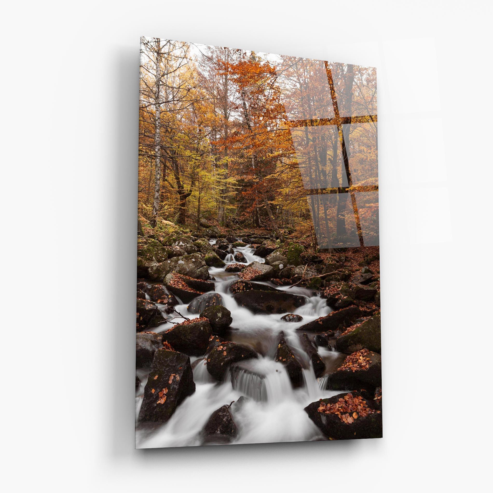 River Forest View mockup 6