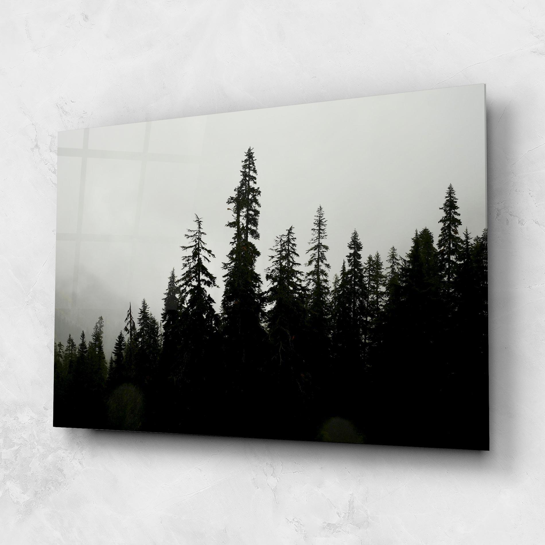 Üvegkép Black Tree Forest mockup 1