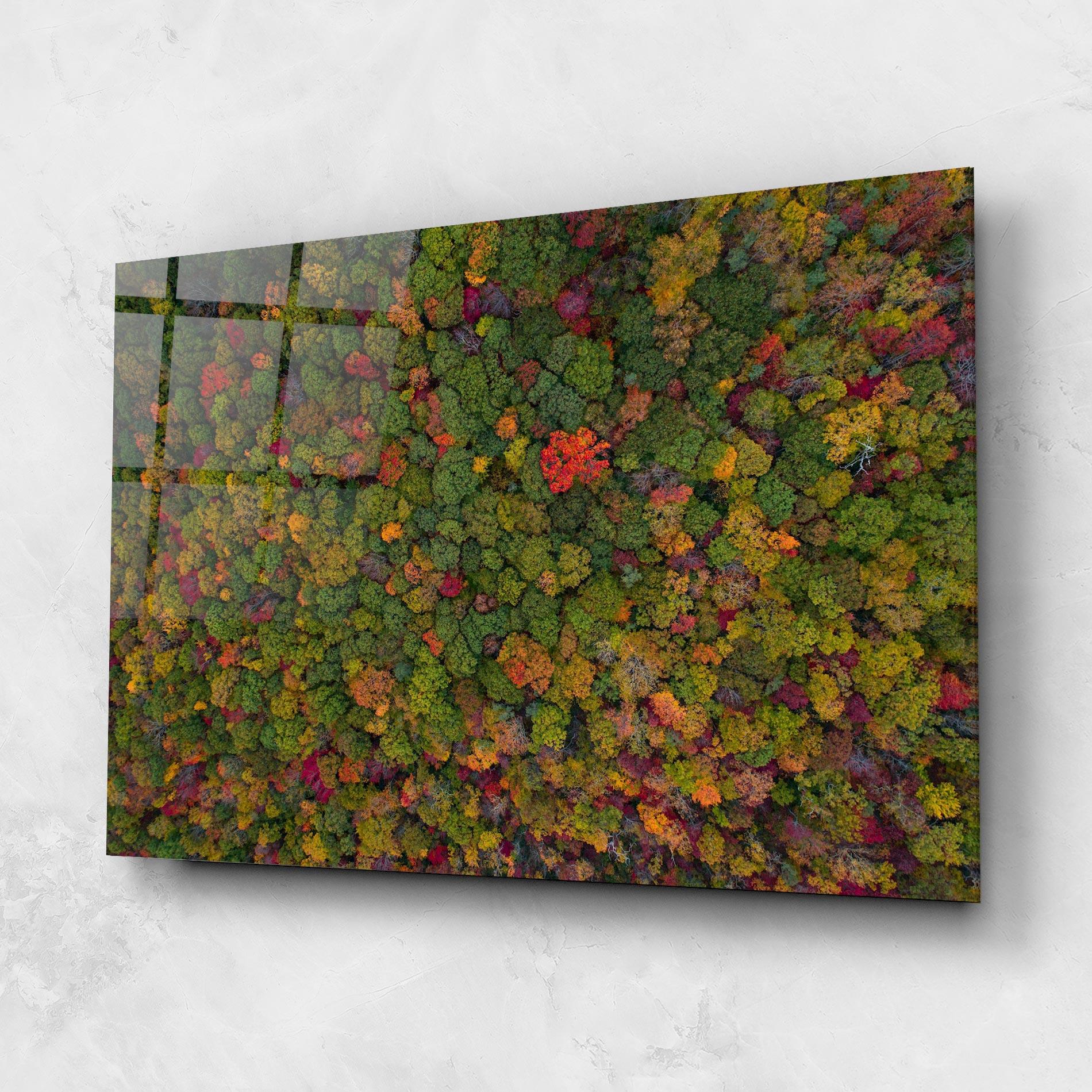 Üvegkép Color Mix Forest mockup 1