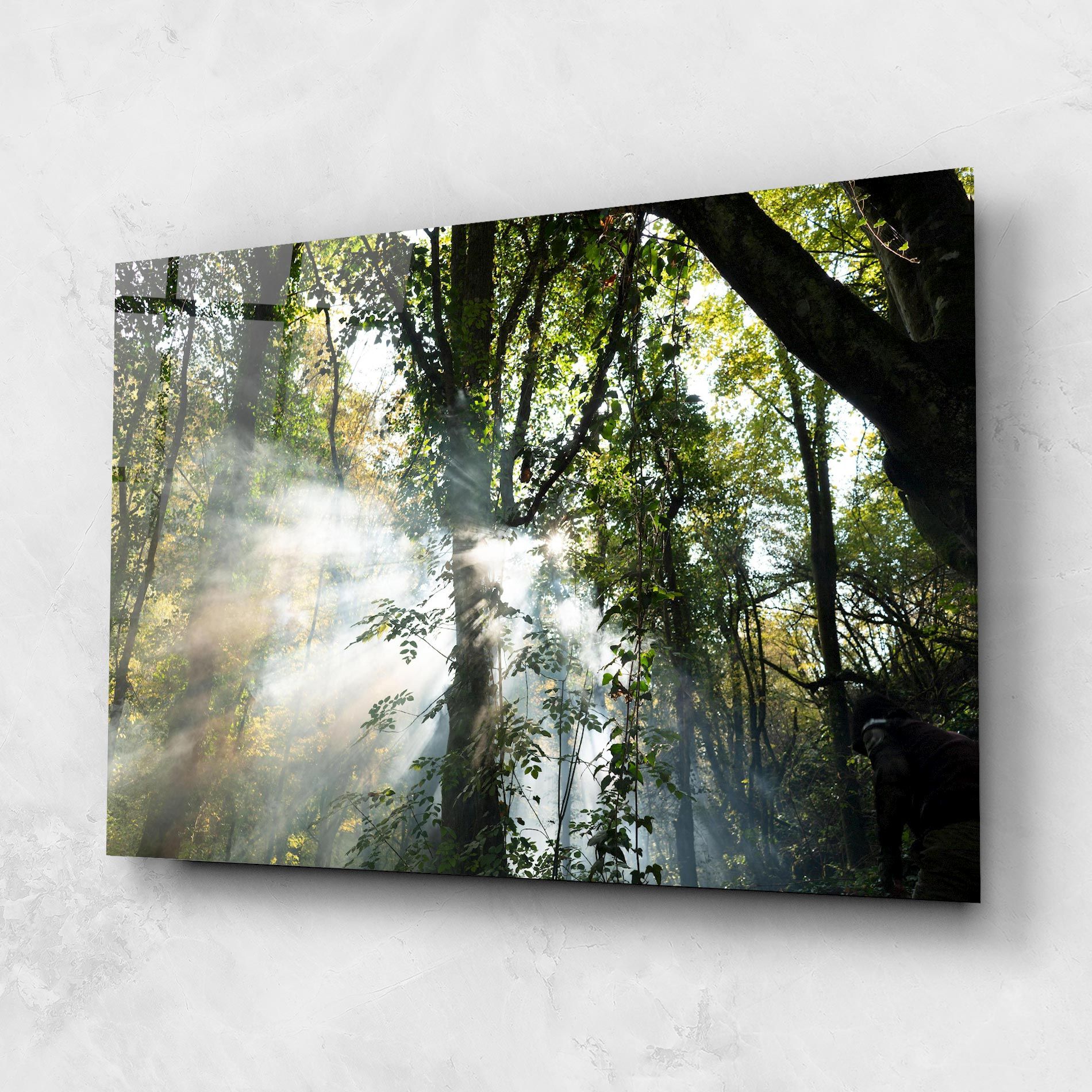 Foggy Light Forest mockup 1