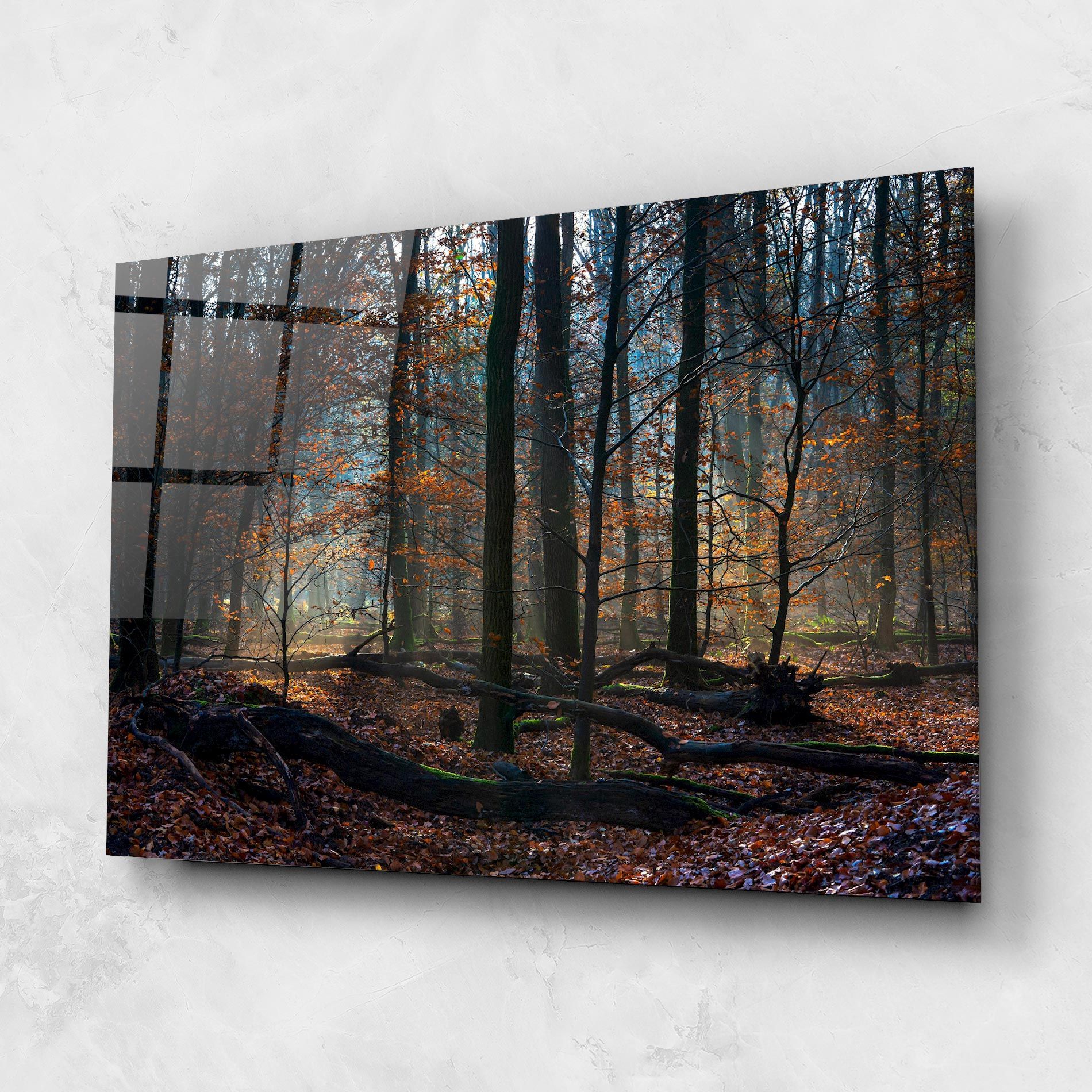 Forest Autumn Day mockup 1