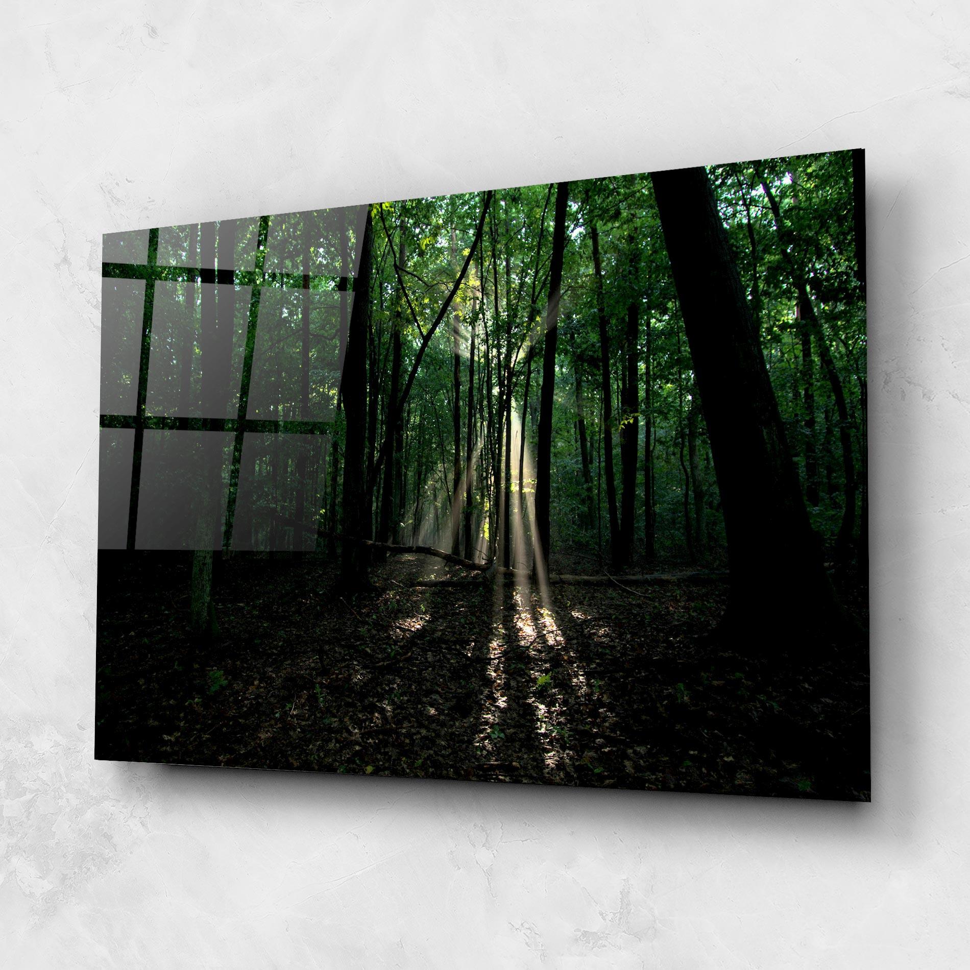 Üvegkép Forest Sun Light mockup 1