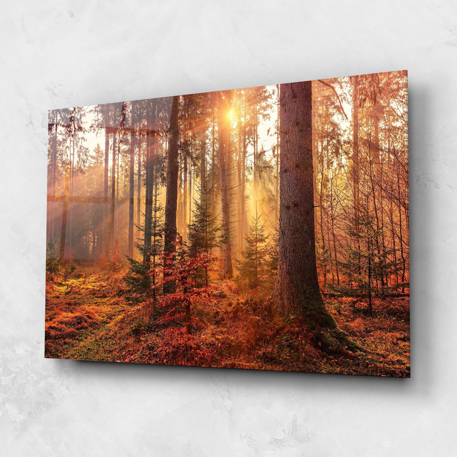 Üvegkép Orange Light Forest mockup 1