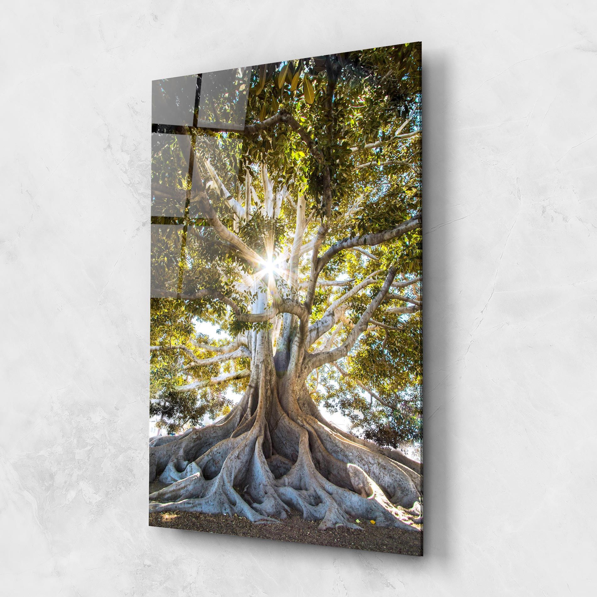 Big Old Tree mockup 1