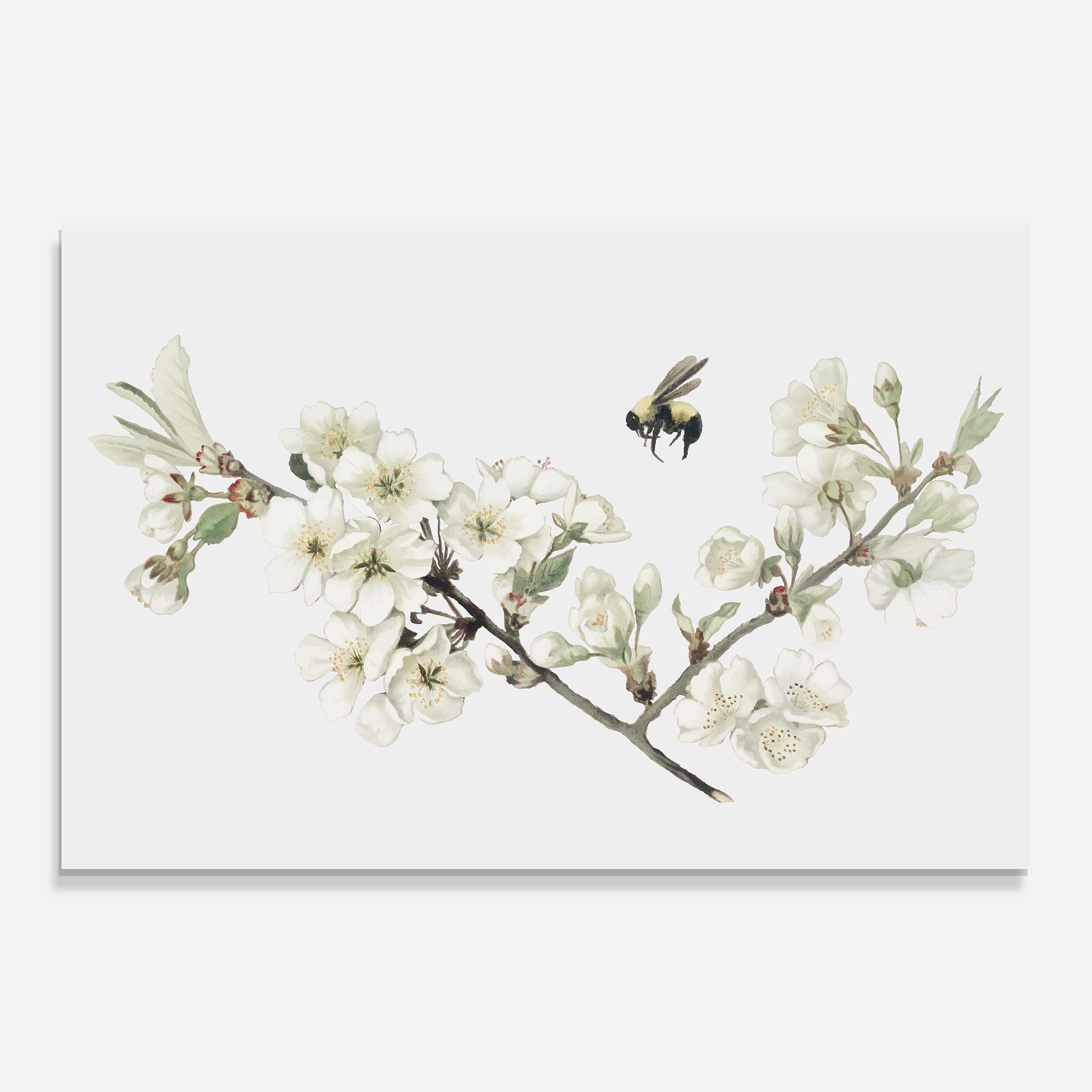 Bee Spring Flower mockup 0
