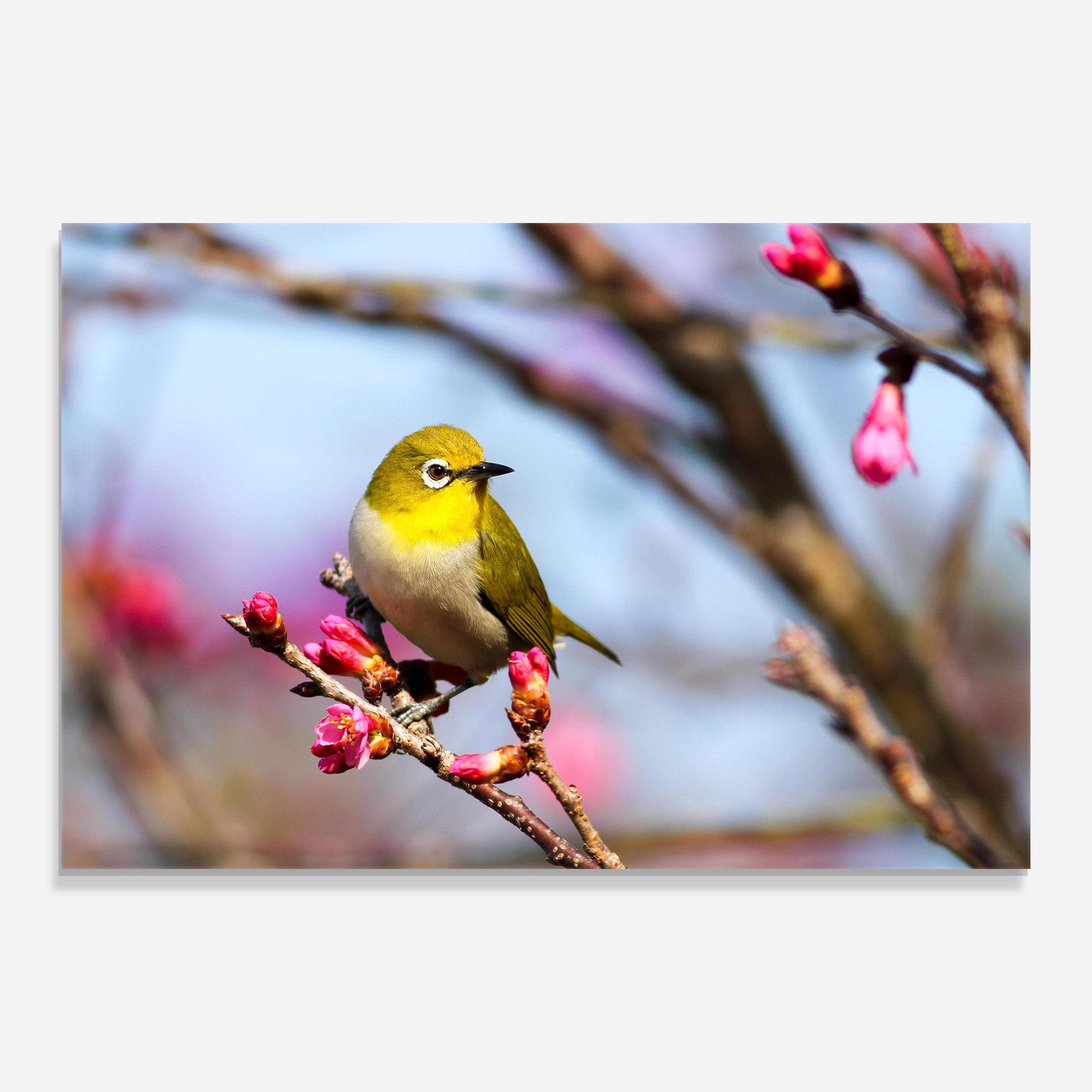 Üvegkép Cute Pink Flower Buds mockup 0