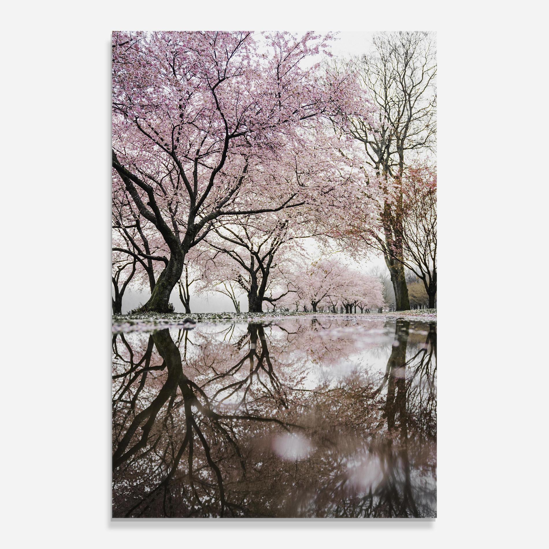 Üvegkép Pretty Pink Spring Tree mockup 0