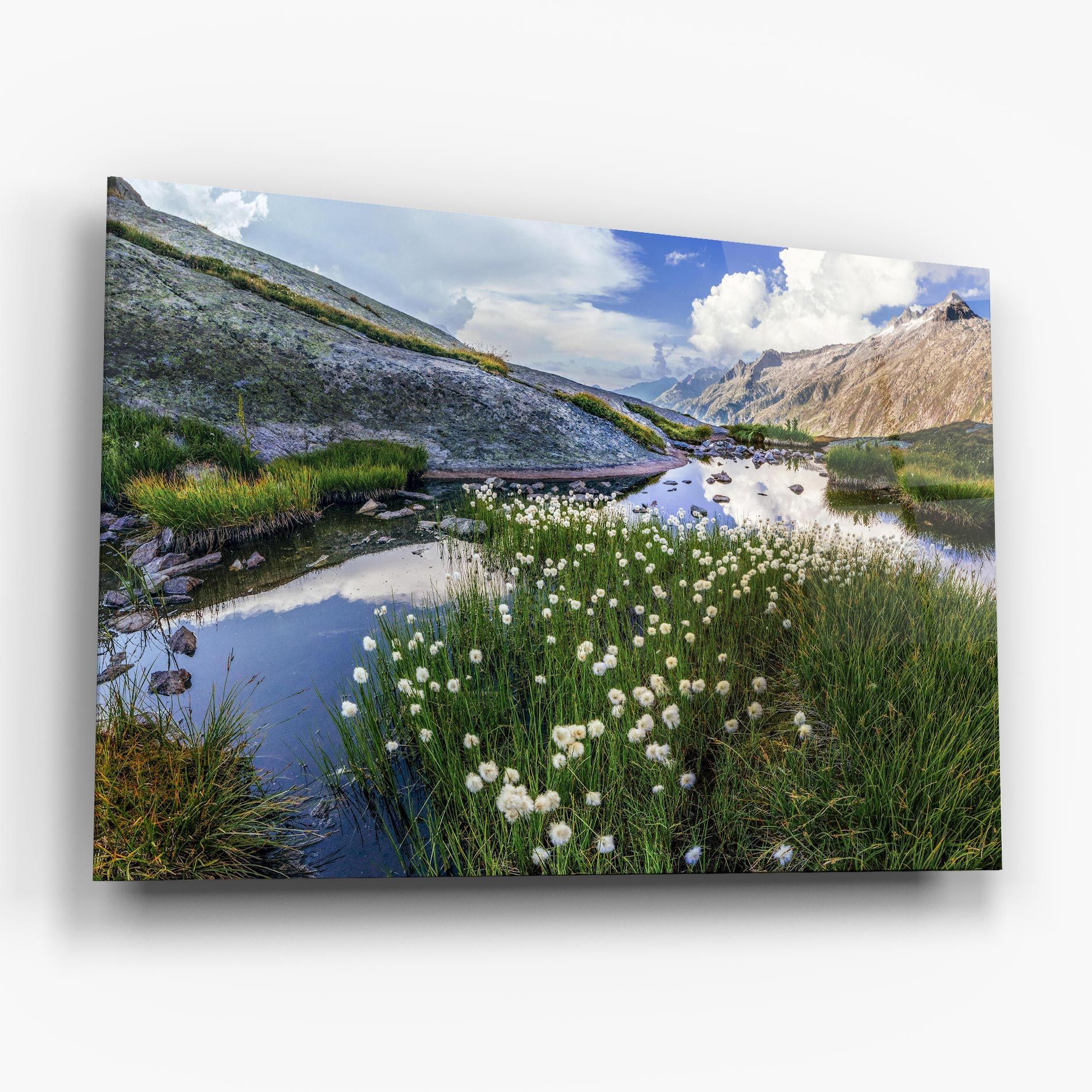 Lake Spring View mockup 6