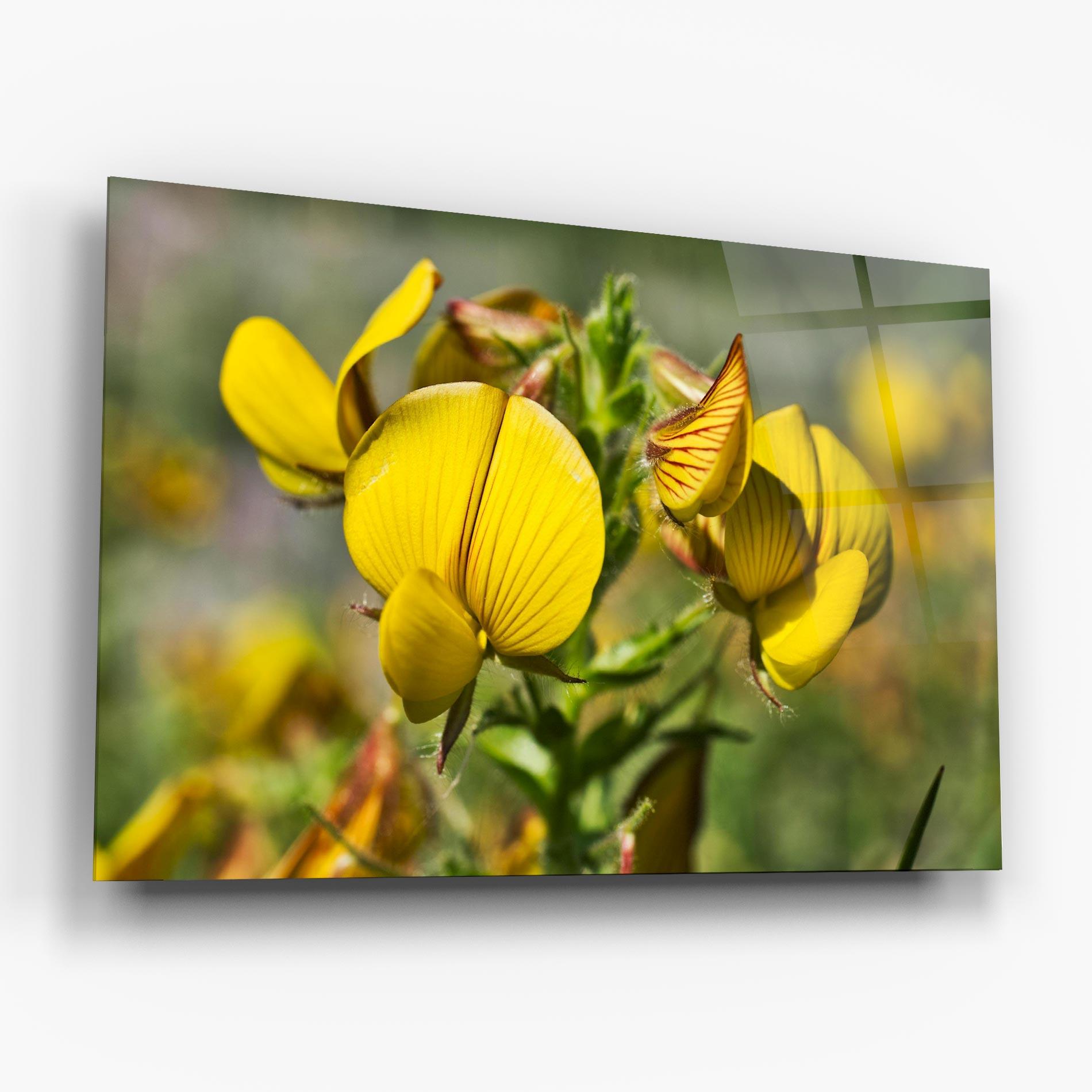 Üvegkép Pretty Spring Yellow Flower mockup 6