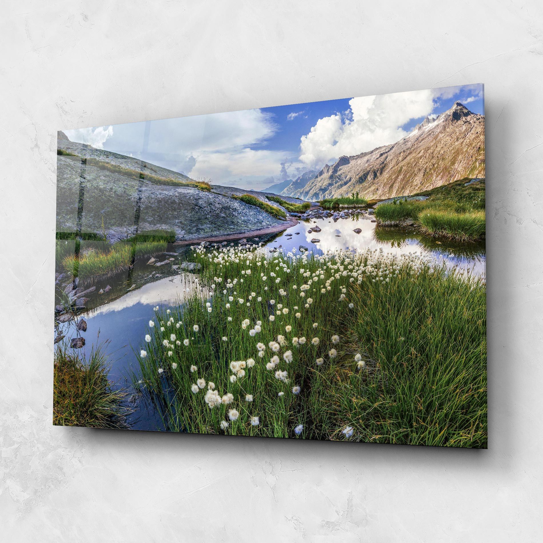 Lake Spring View mockup 1