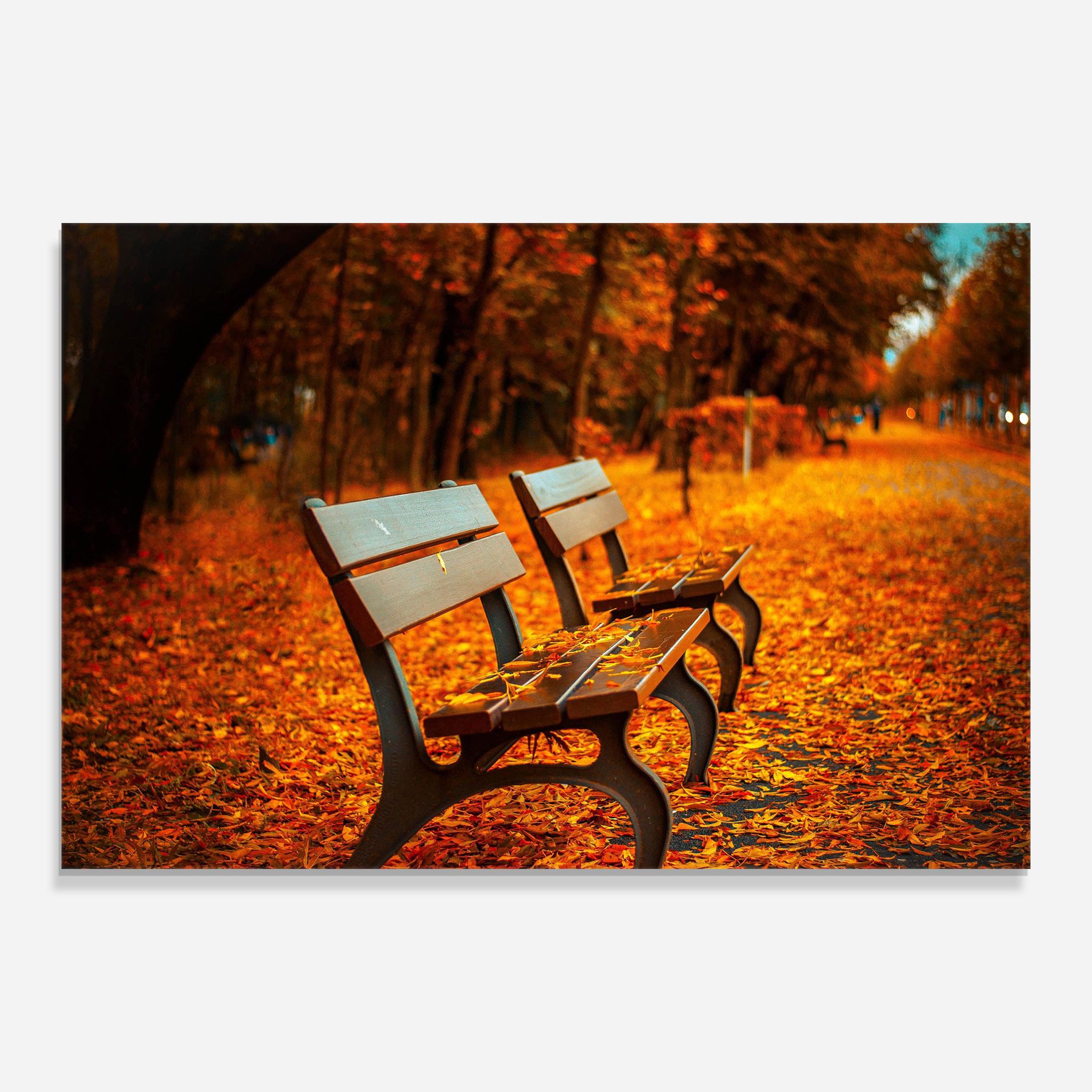 Autumn Bench View mockup 0