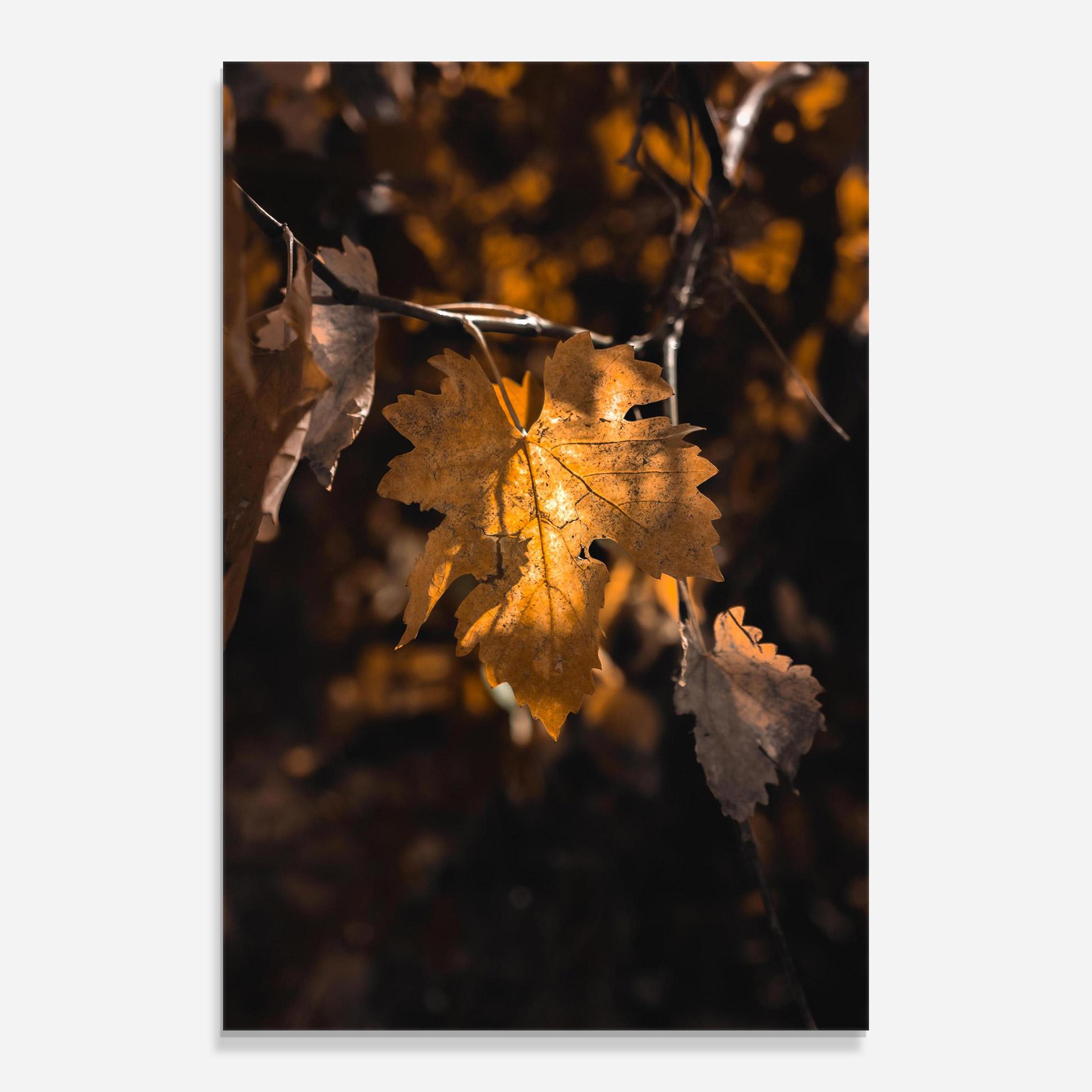 Üvegkép Autumn Brown Leaf mockup 0