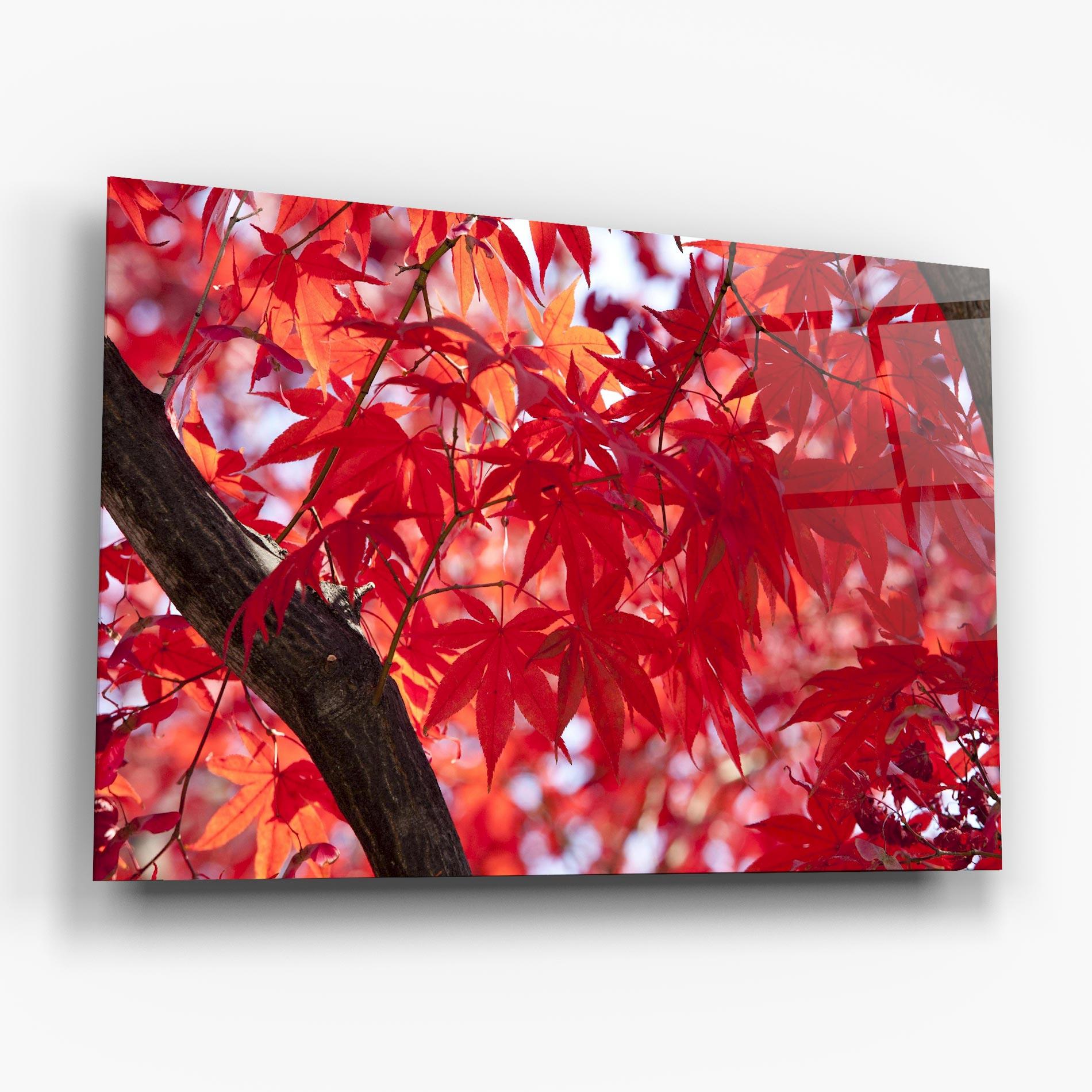 Üvegkép Pretty Red Leaves mockup 6