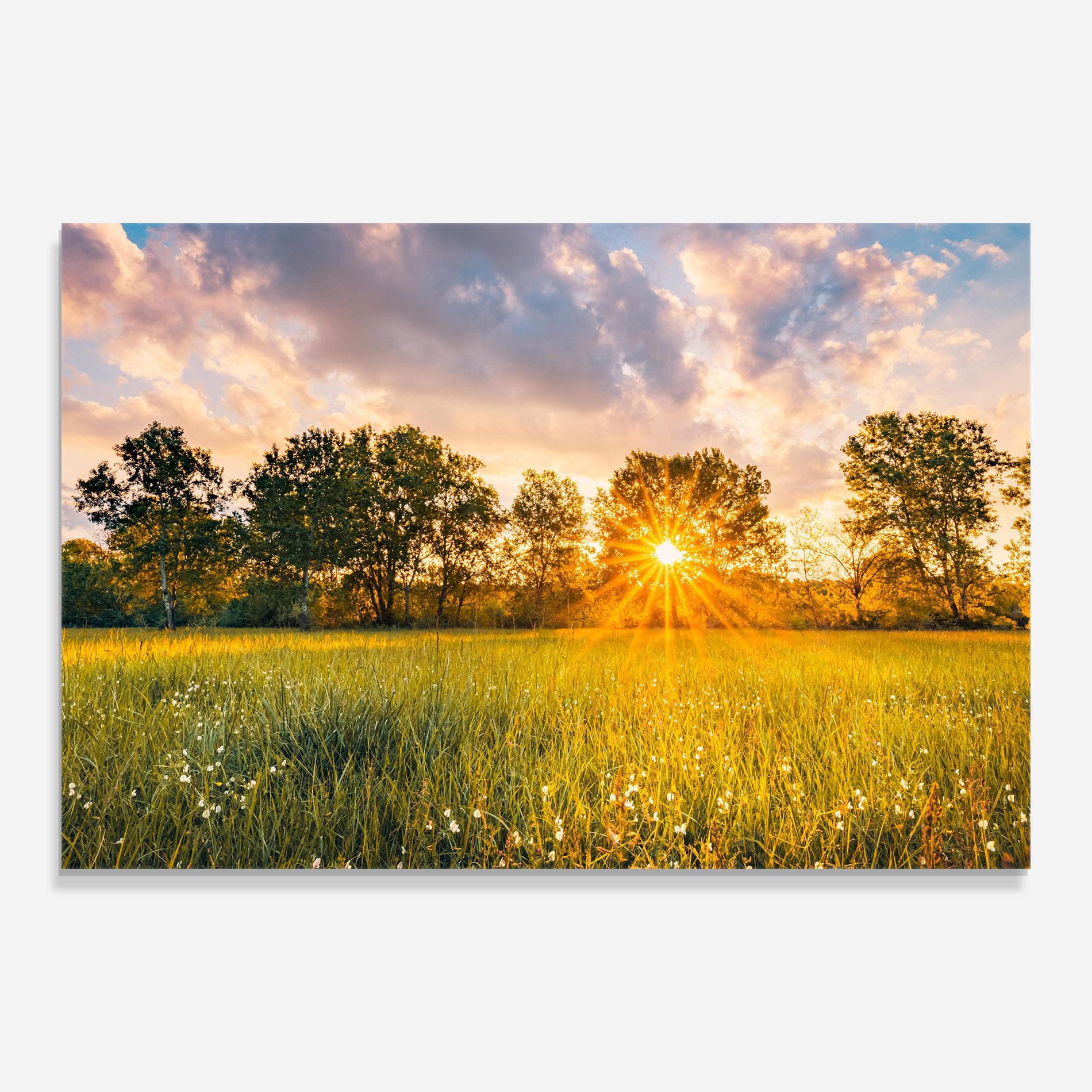 Blossoming Meadow mockup 0