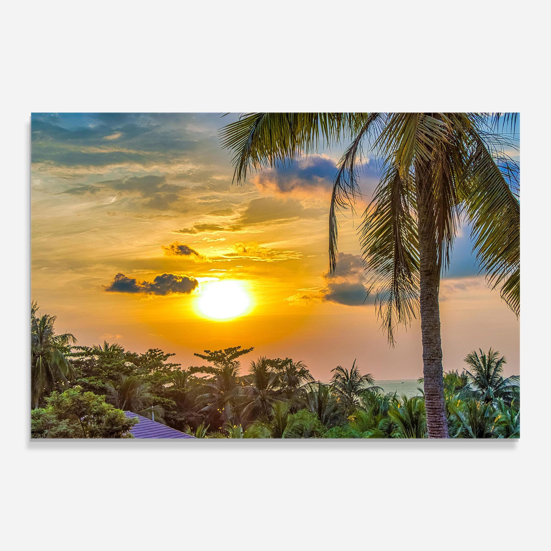 Summer View mockup 0