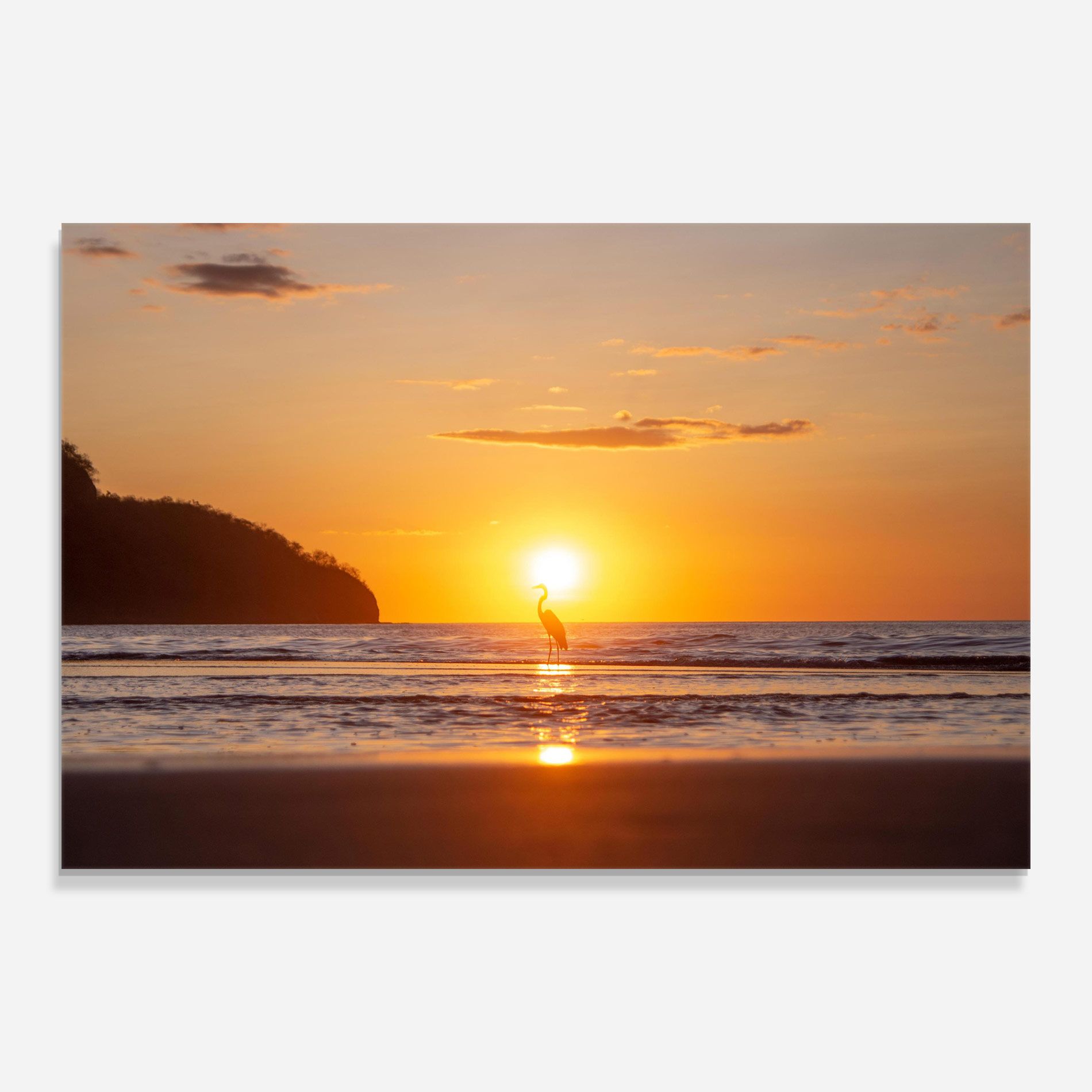 Sunset Bird Silhouette mockup 0