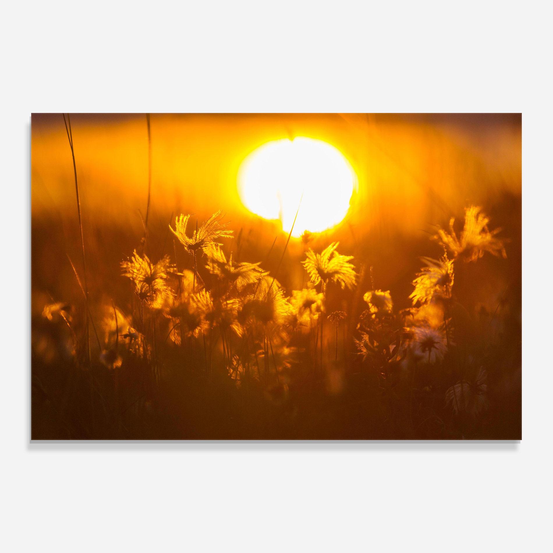 Üvegkép Wildflowers mockup 0
