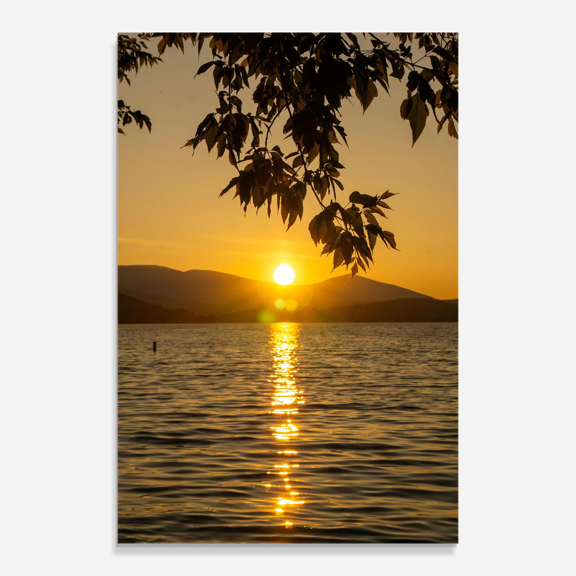 Yellow Sunrise mockup 0