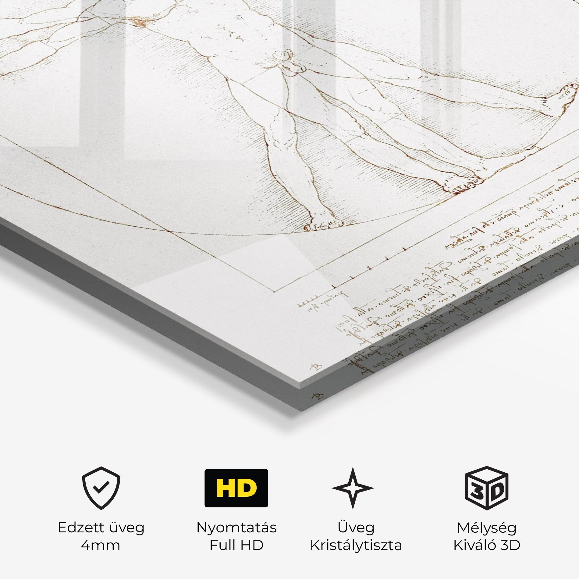 Üvegkép Leonardo Da Vinci's Vitruvian Man mockup 3