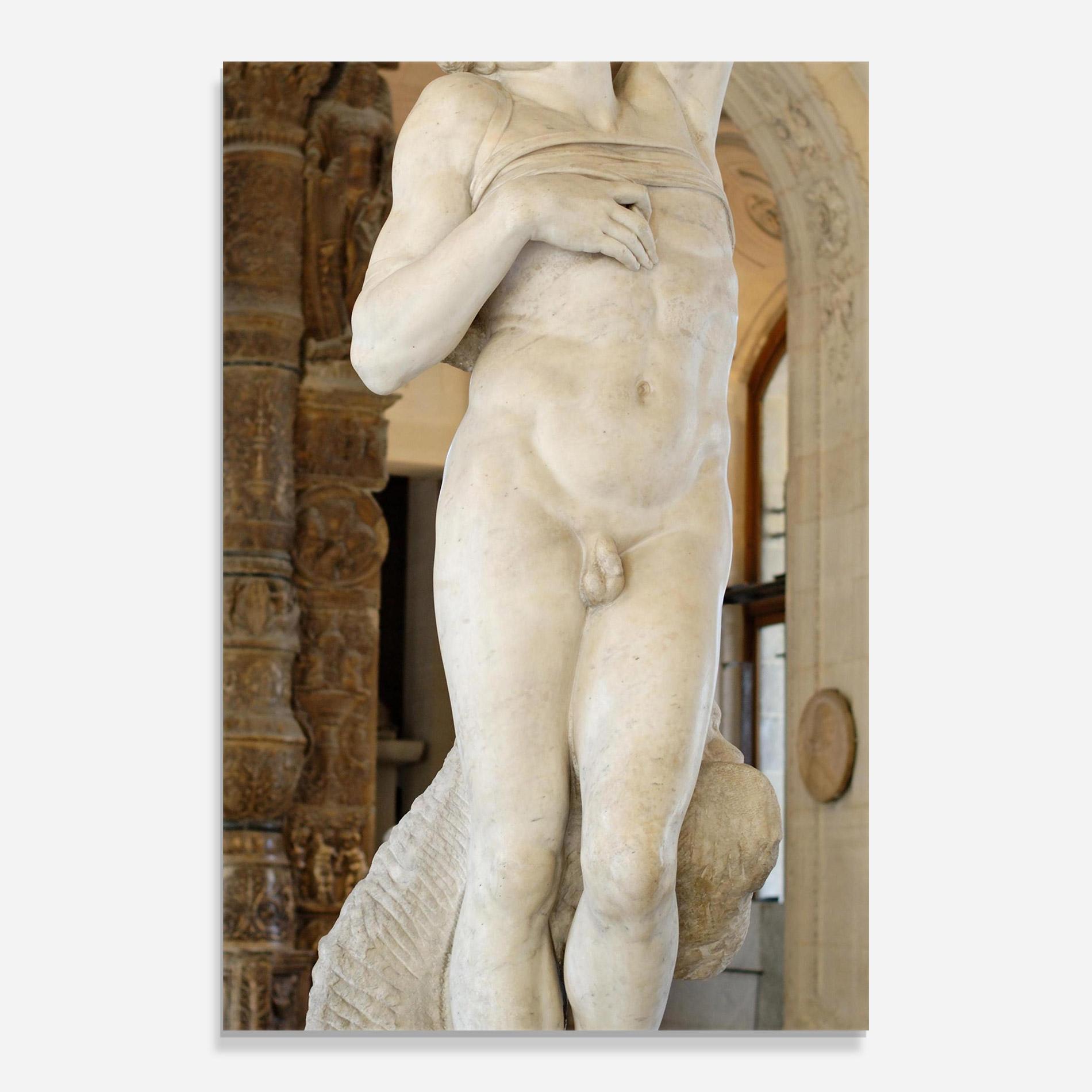 Üvegkép Dying Slave mockup 0