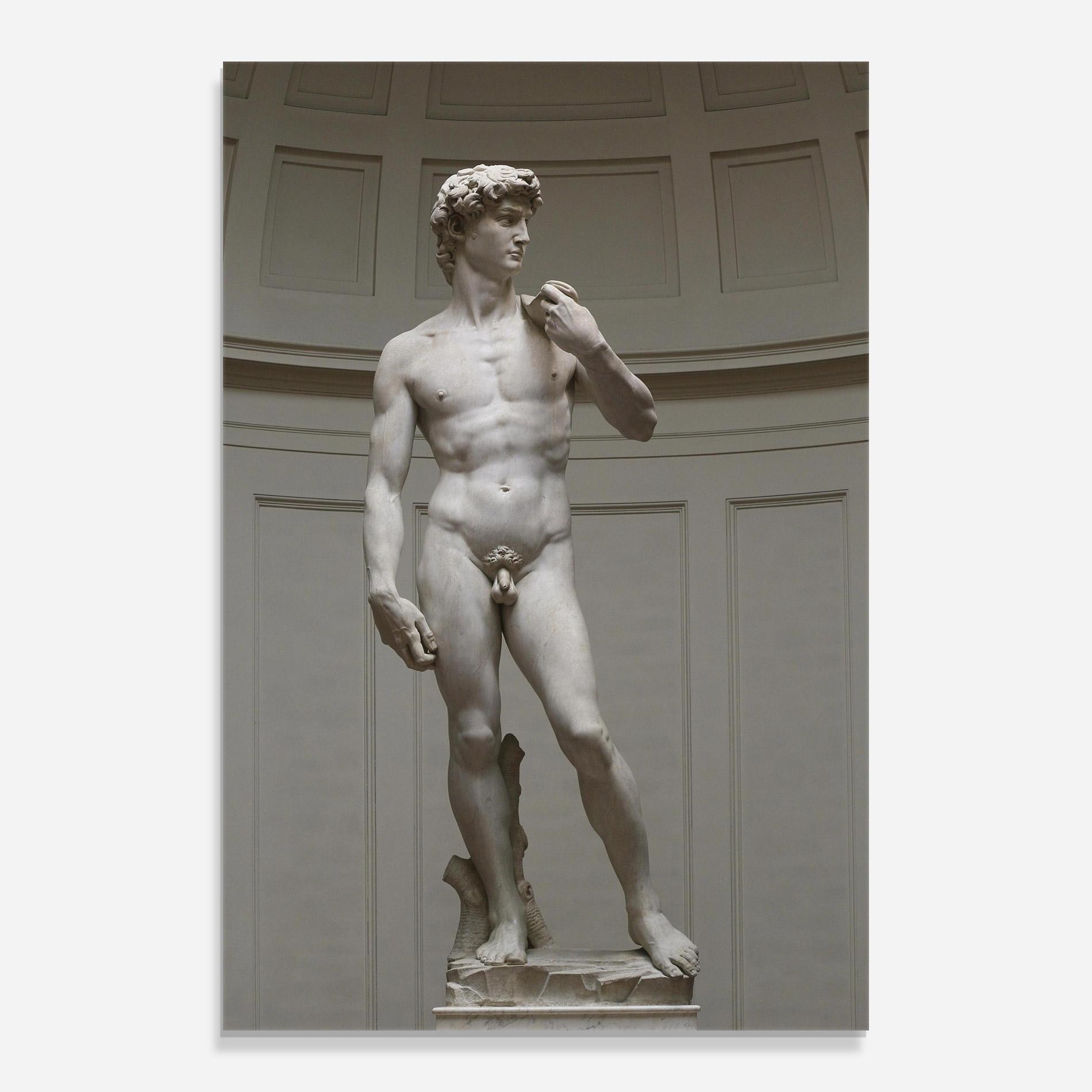 Üvegkép Michelangelo Statue mockup 0