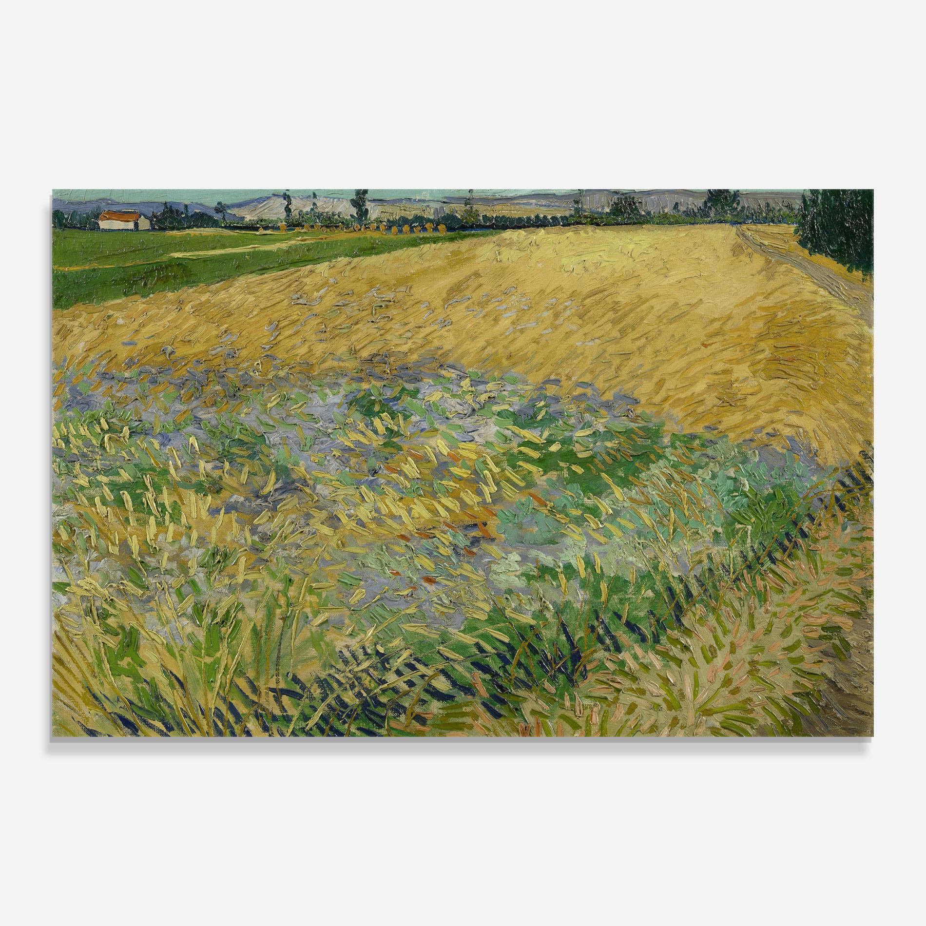 Üvegkép Korenveld mockup 0