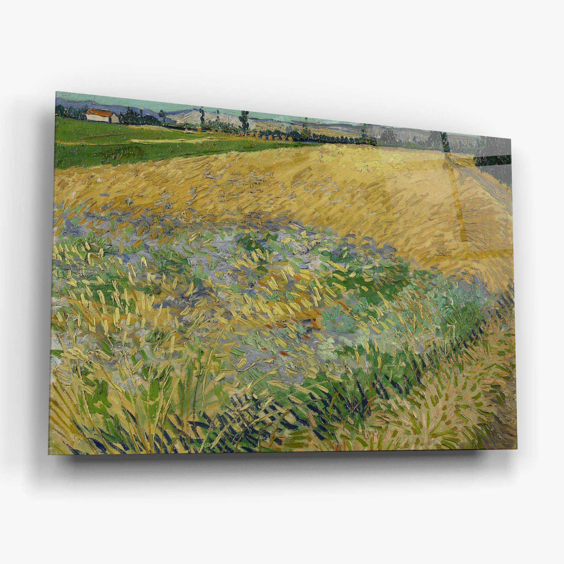 Üvegkép Korenveld mockup 6