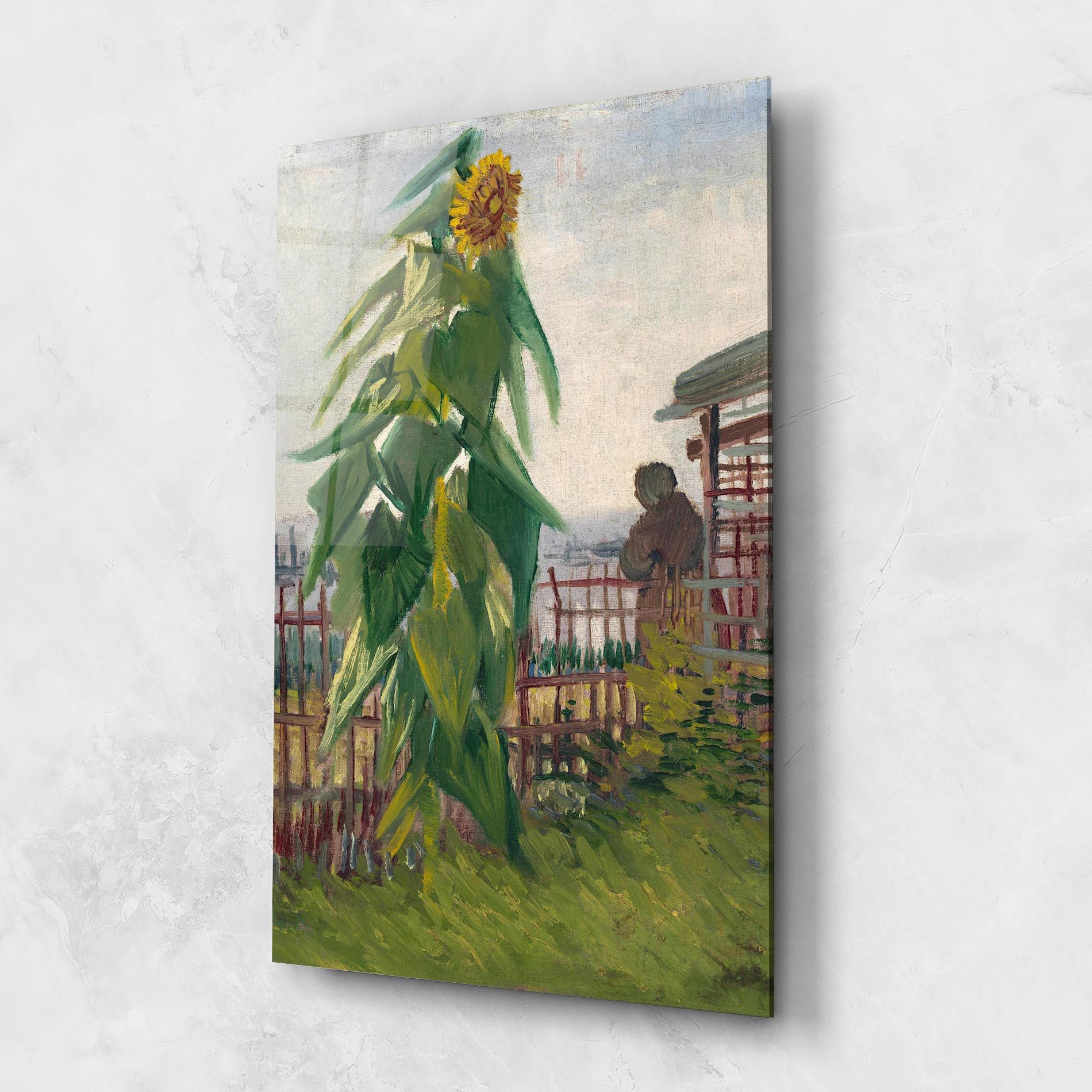 Allotment With Sunflower mockup 1